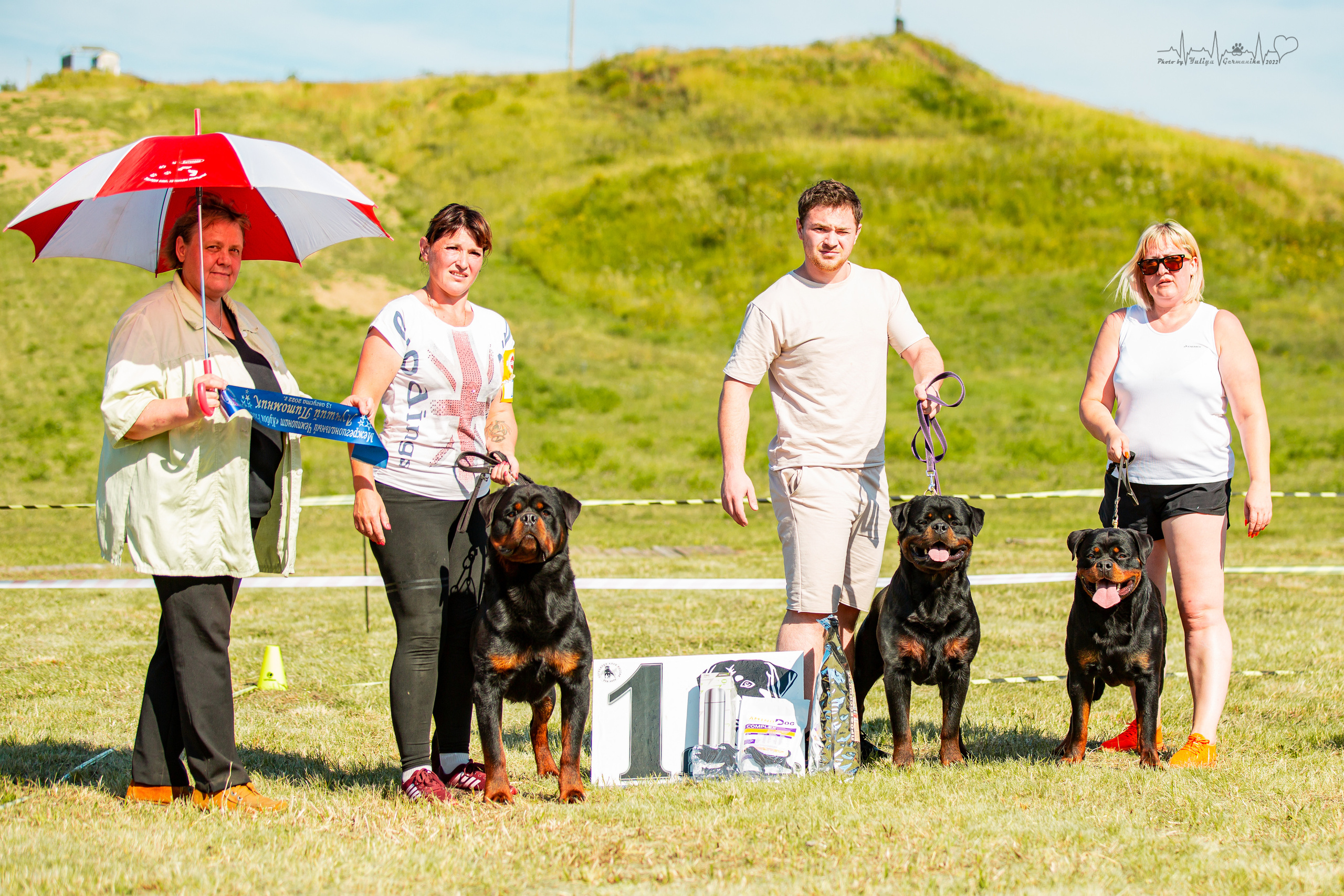 Рязань моно ротвейлеров 13.08.2022. Фотограф-анималист Юлия Германика