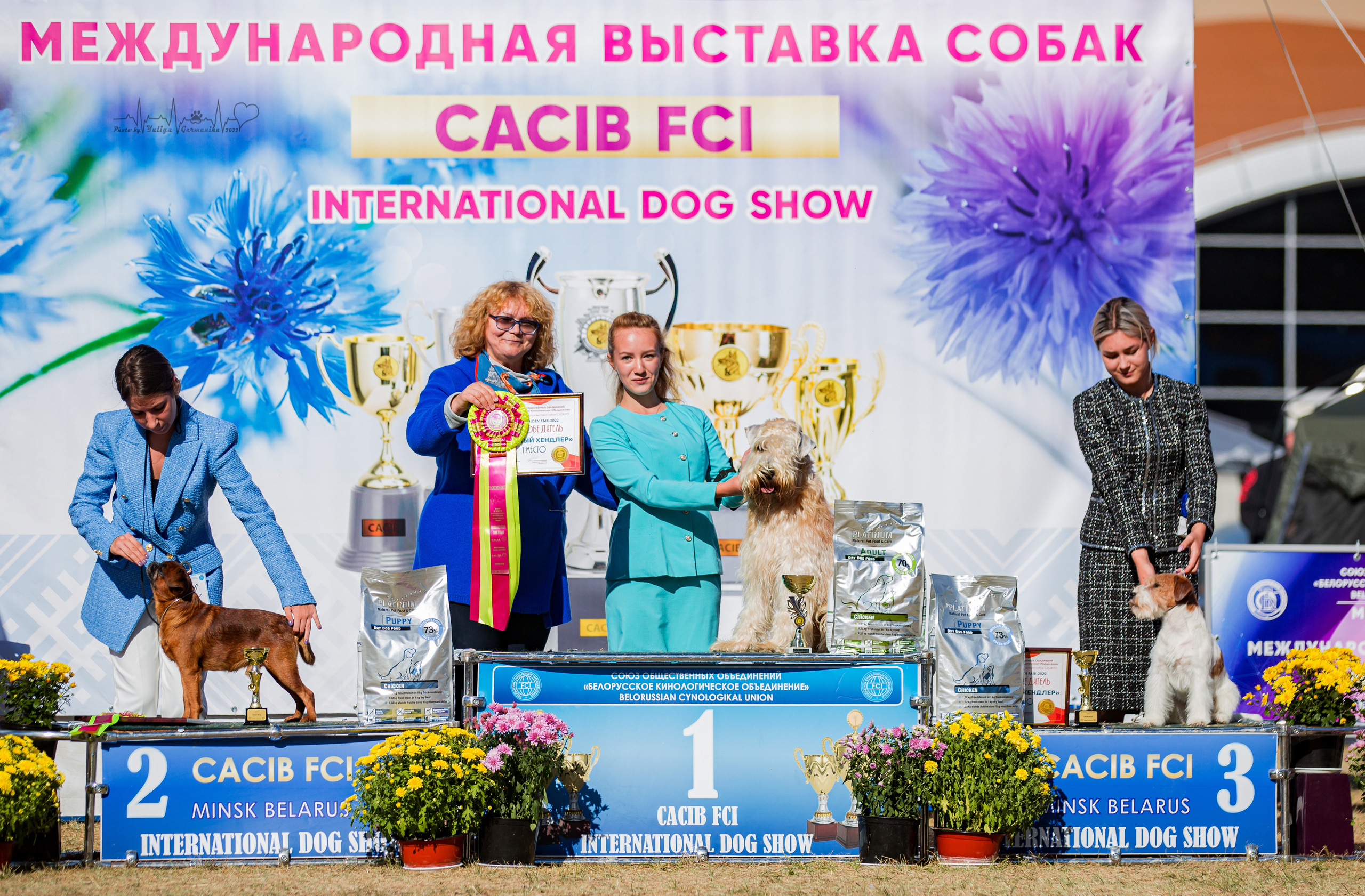 Минск 2хCACIB 3-4.09.2022. Фотограф-анималист Юлия Германика