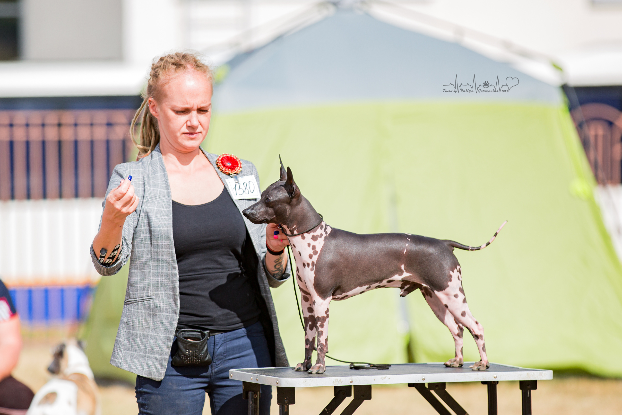 Минск 2хCACIB 3-4.09.2022. Фотограф-анималист Юлия Германика