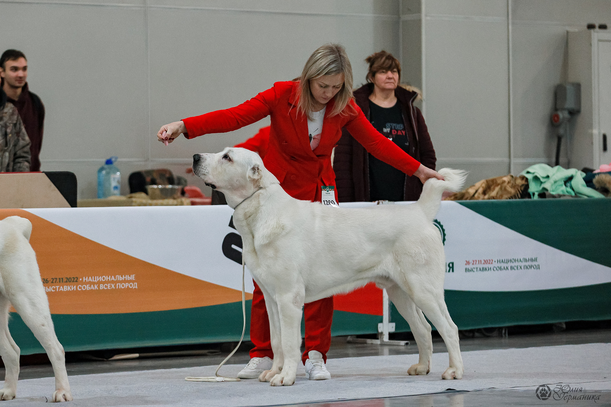 Россия 2020-2022 26-27.11.2022. Фотограф-анималист Юлия Германика