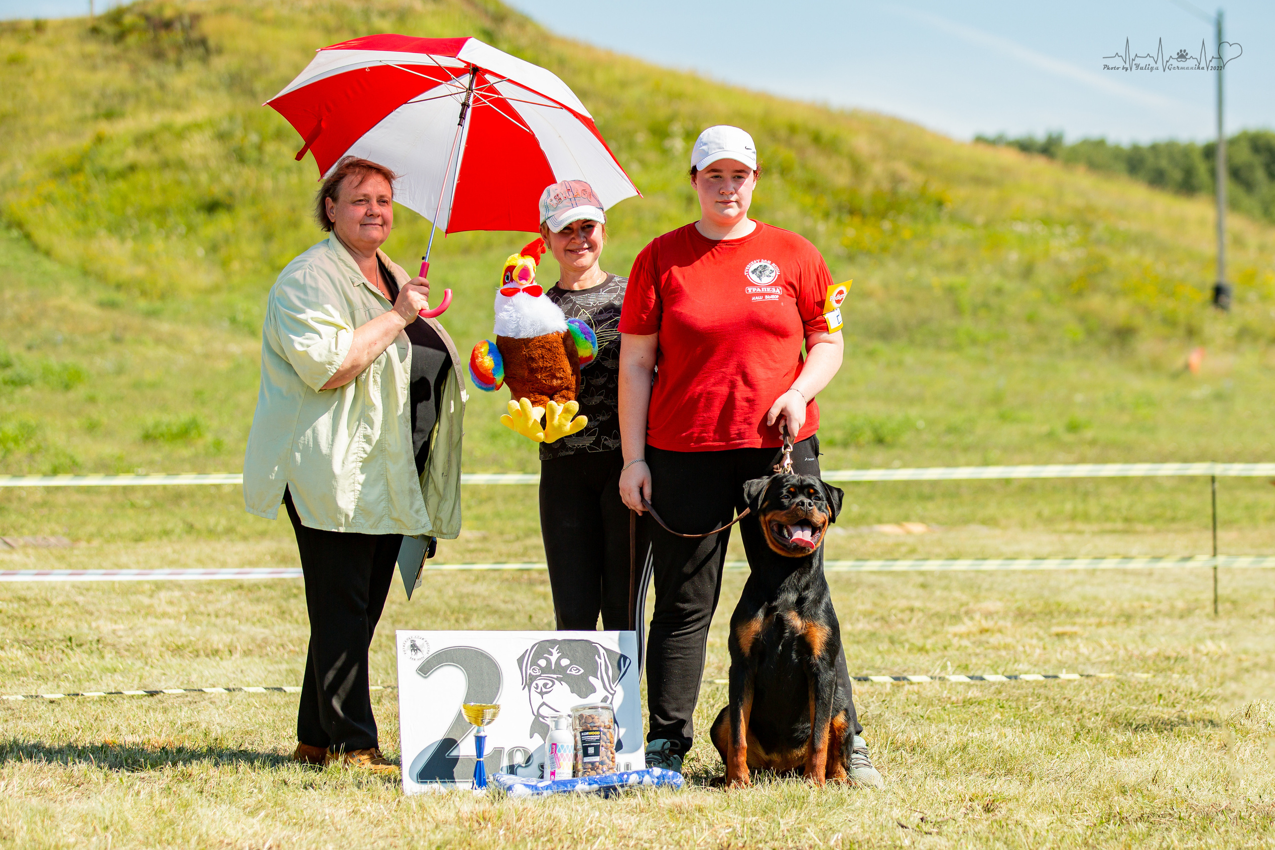Рязань моно ротвейлеров 13.08.2022. Фотограф-анималист Юлия Германика