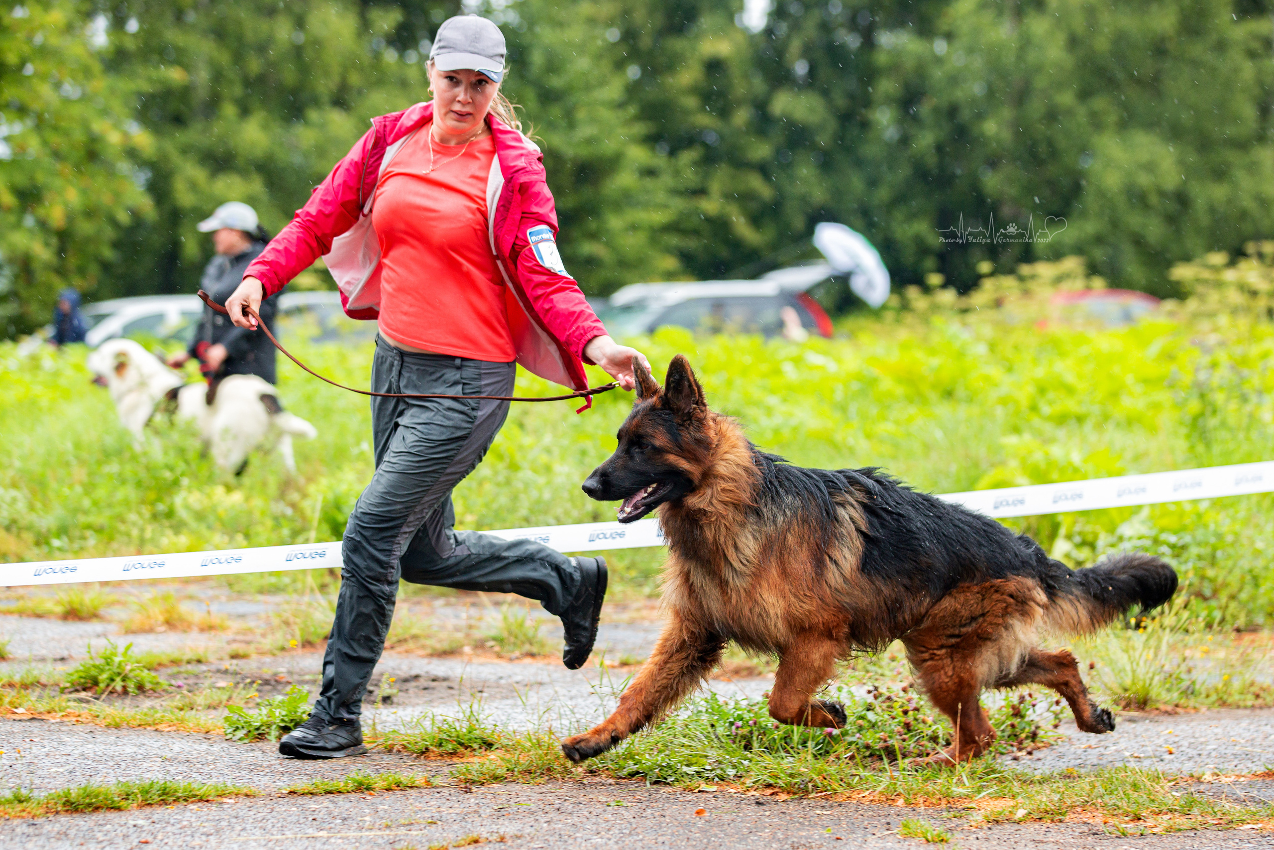 Ховрино 31.07,Чайна-Таун 6.08,Тверь 7.08. Фотограф-анималист Юлия Германика