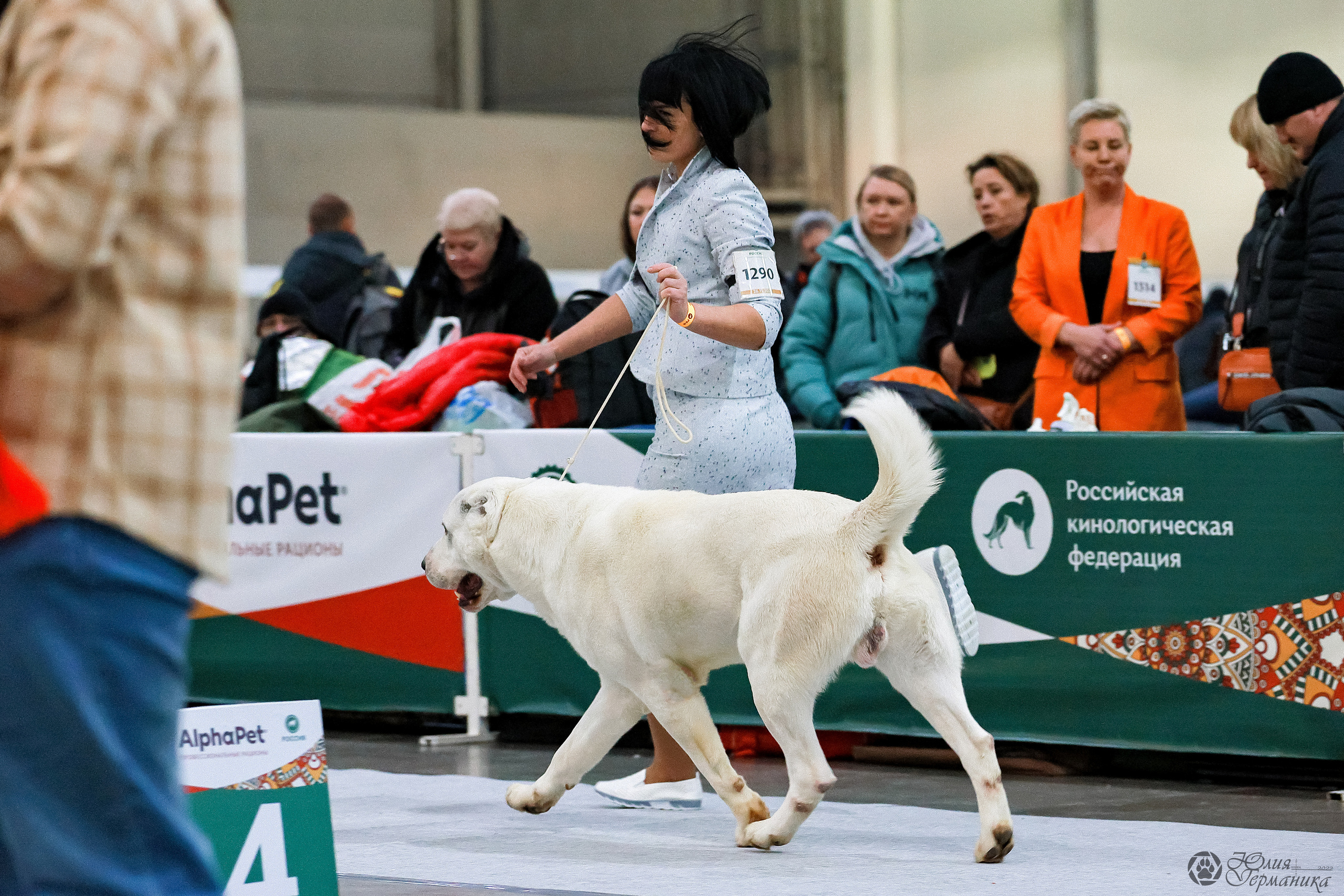 Россия 2020-2022 26-27.11.2022. Фотограф-анималист Юлия Германика