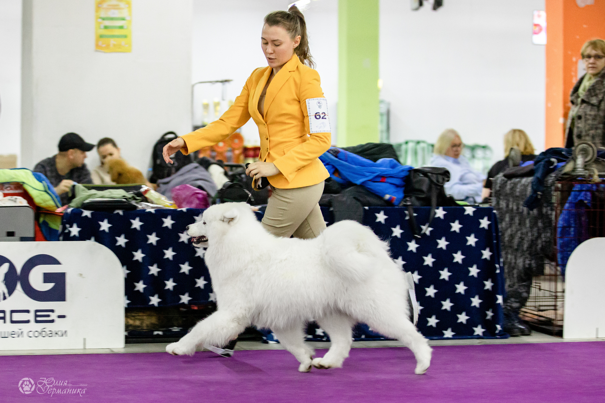Чайна-Таун 29-30.10.2022. Фотограф-анималист Юлия Германика