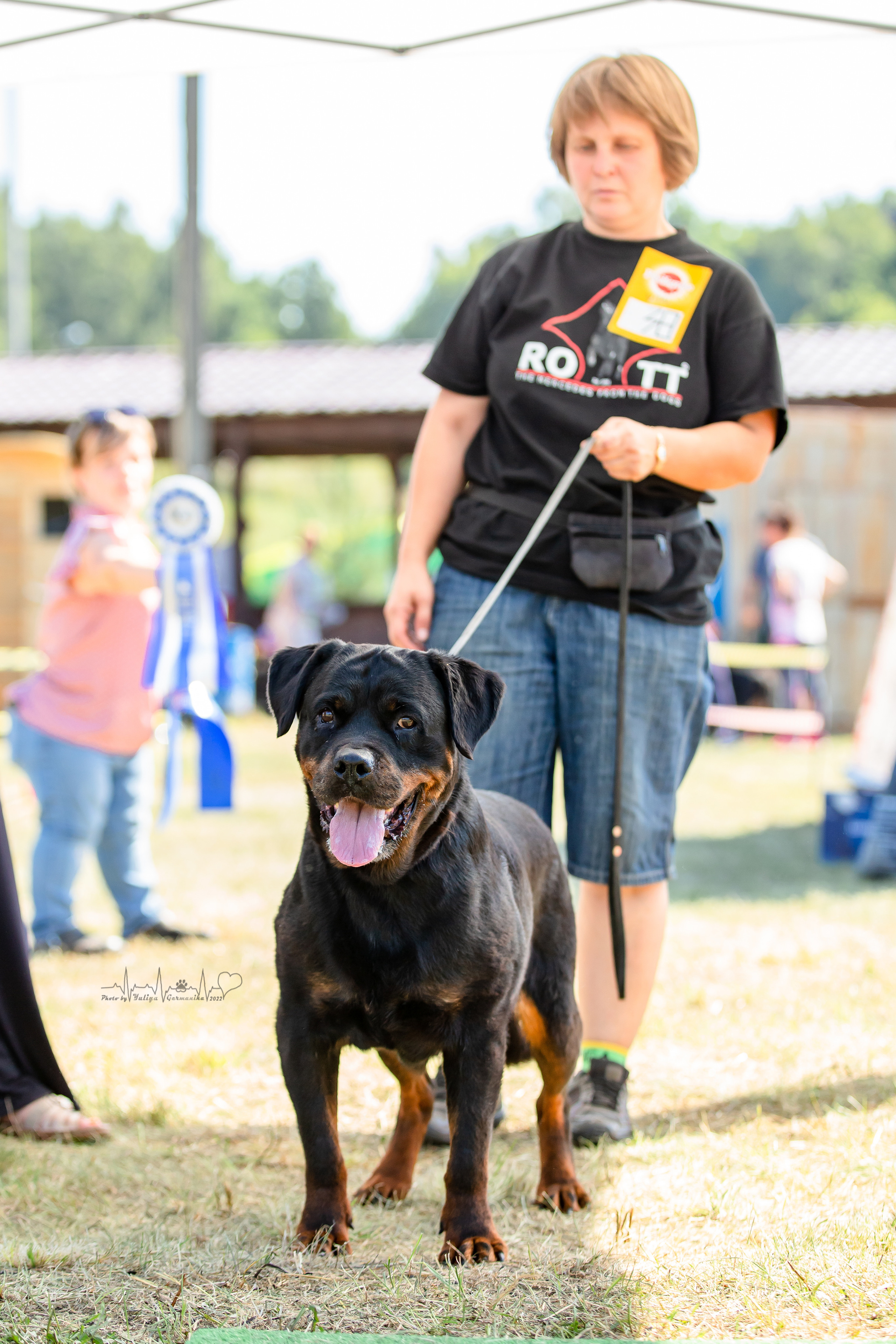 Рязань моно ротвейлеров 13.08.2022. Фотограф-анималист Юлия Германика