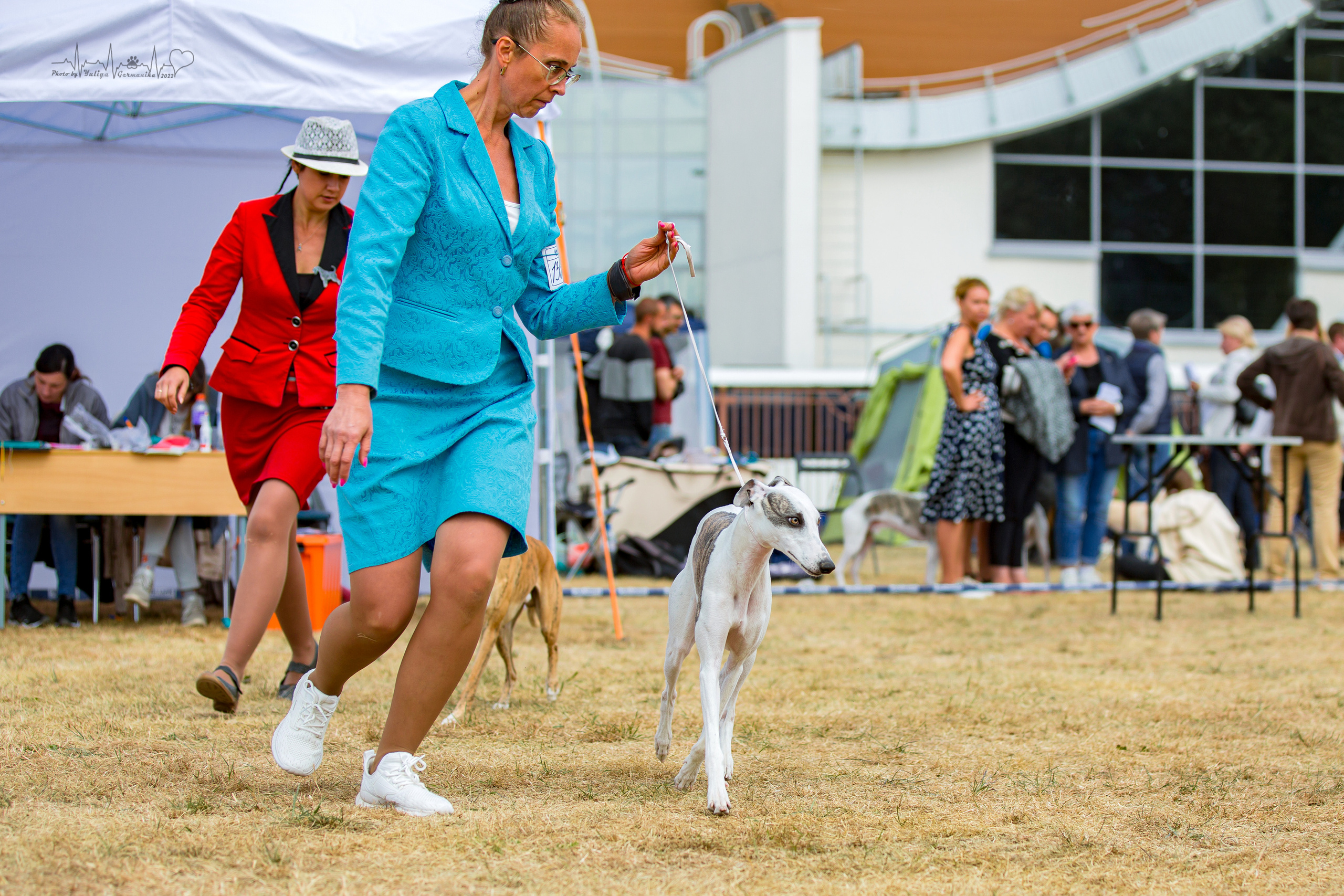 Минск 2хCACIB 3-4.09.2022. Фотограф-анималист Юлия Германика