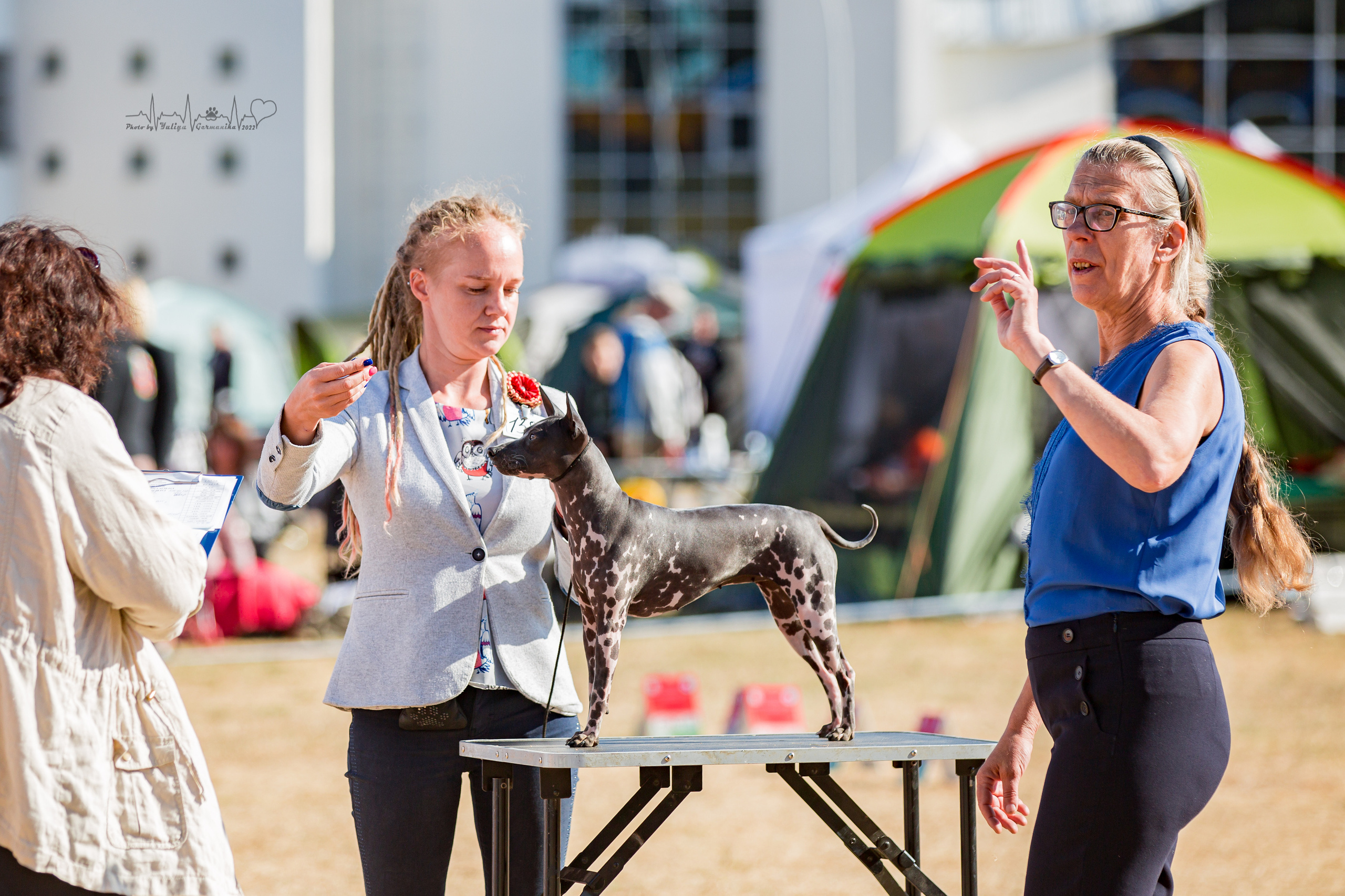 Минск 2хCACIB 3-4.09.2022. Фотограф-анималист Юлия Германика