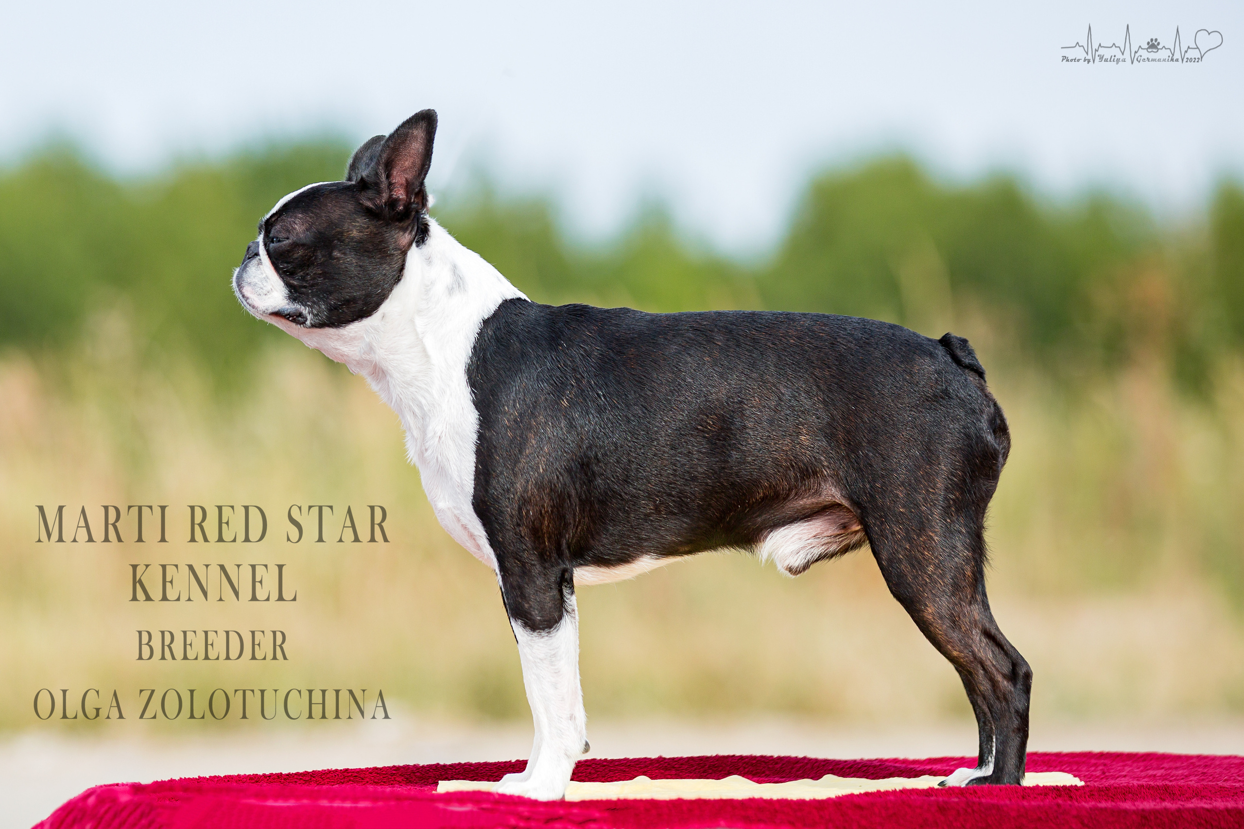 Сокольники 21.08,Сергиев Посад 27-28.08 2022. Фотограф-анималист Юлия Германика