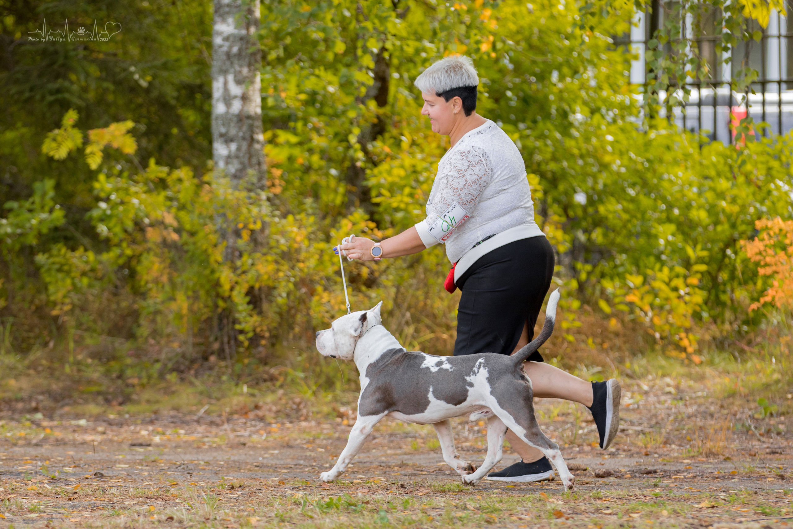 Тверь ЧРКФ 18.09.2022. Фотограф-анималист Юлия Германика