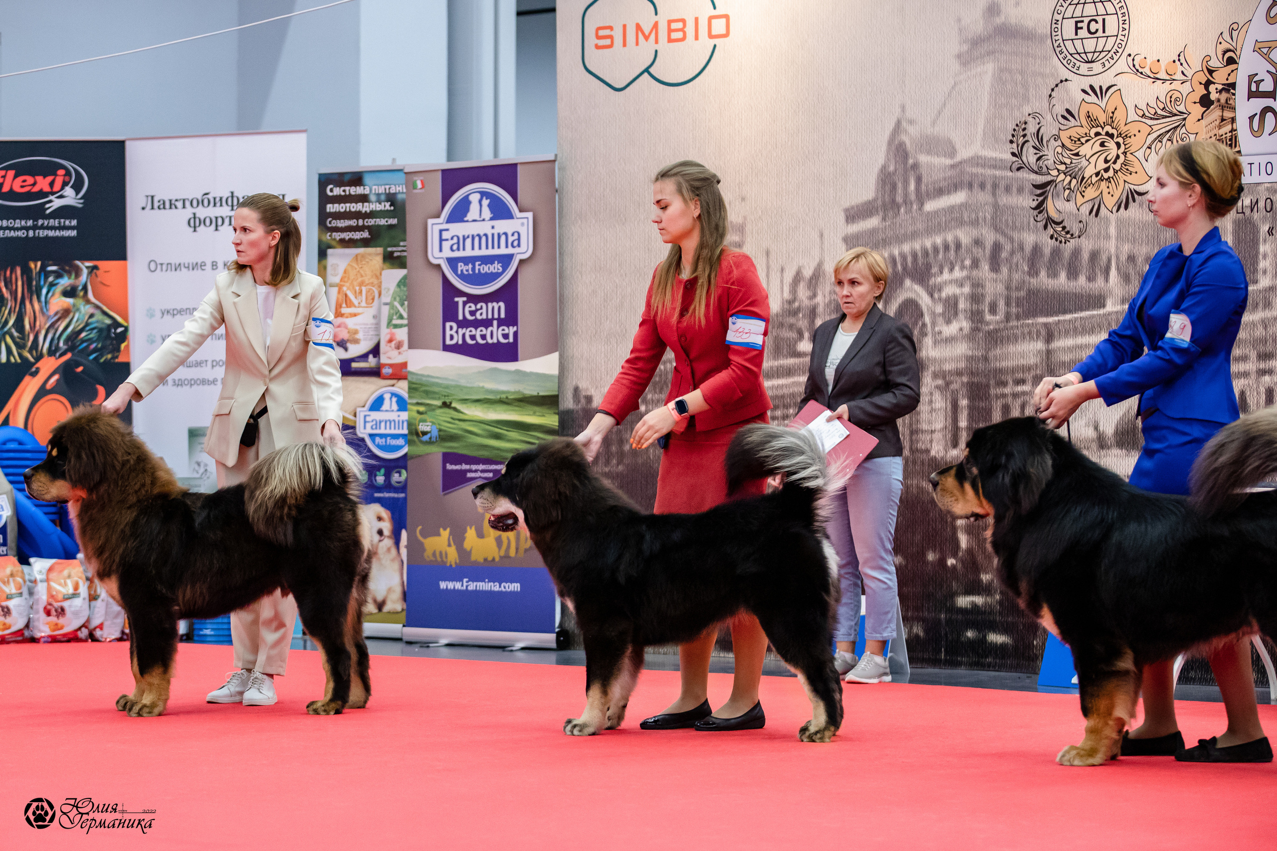 Нижний Новгород 15-16.10.2022. Фотограф-анималист Юлия Германика