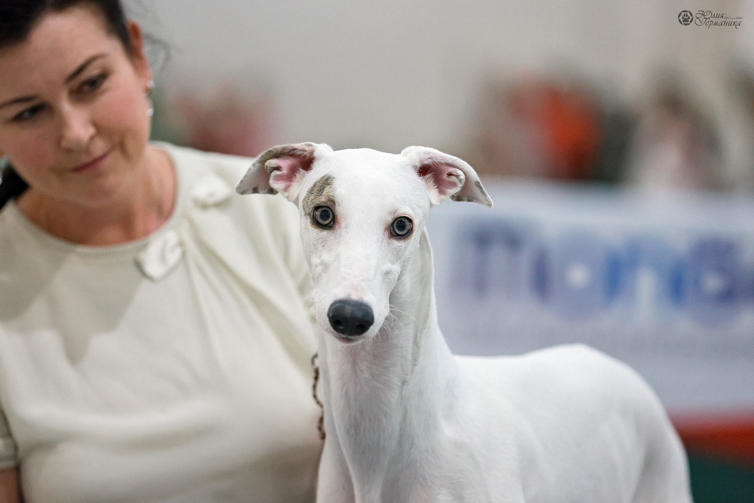 Россия 2020-2022 26-27.11.2022. Фотограф-анималист Юлия Германика