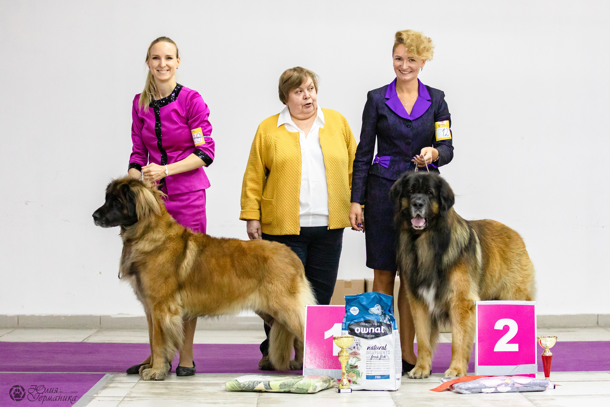 Чайна-Таун 29-30.10.2022. Фотограф-анималист Юлия Германика