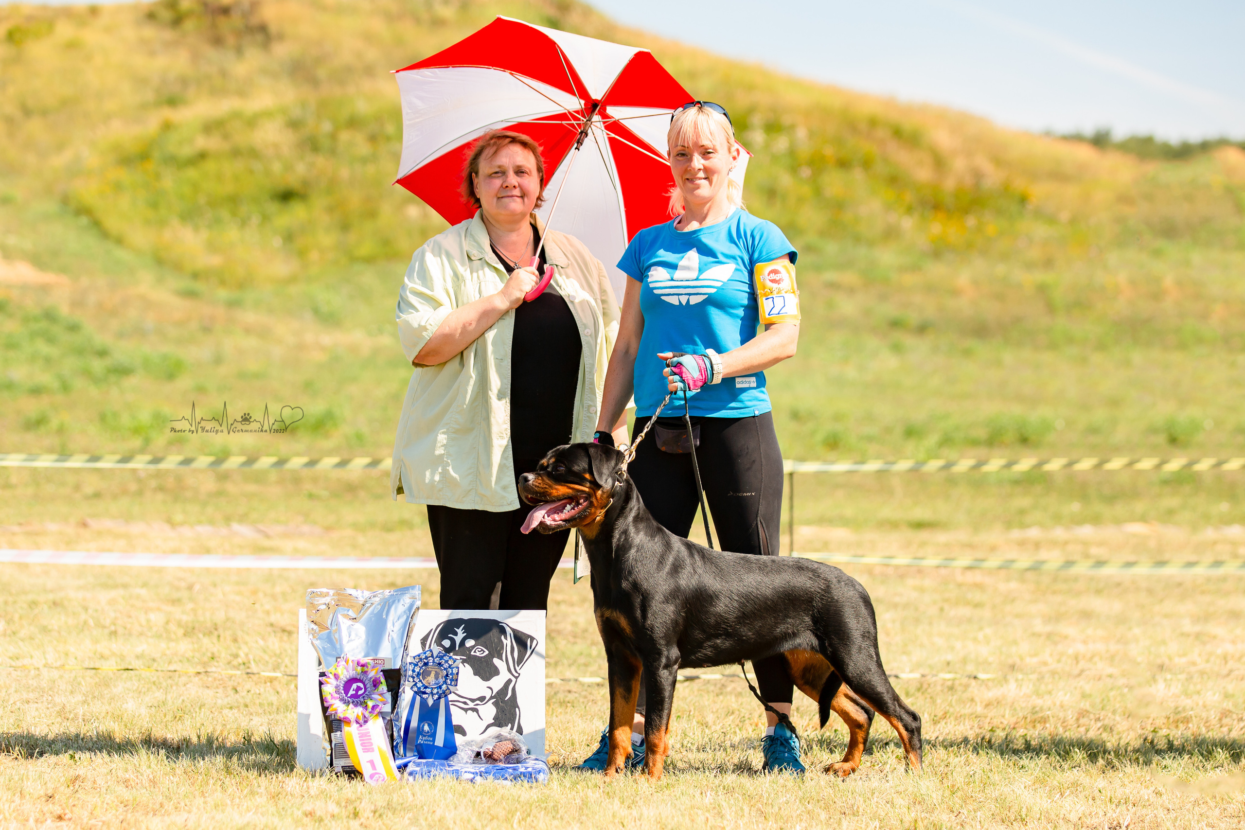 Рязань моно ротвейлеров 13.08.2022. Фотограф-анималист Юлия Германика