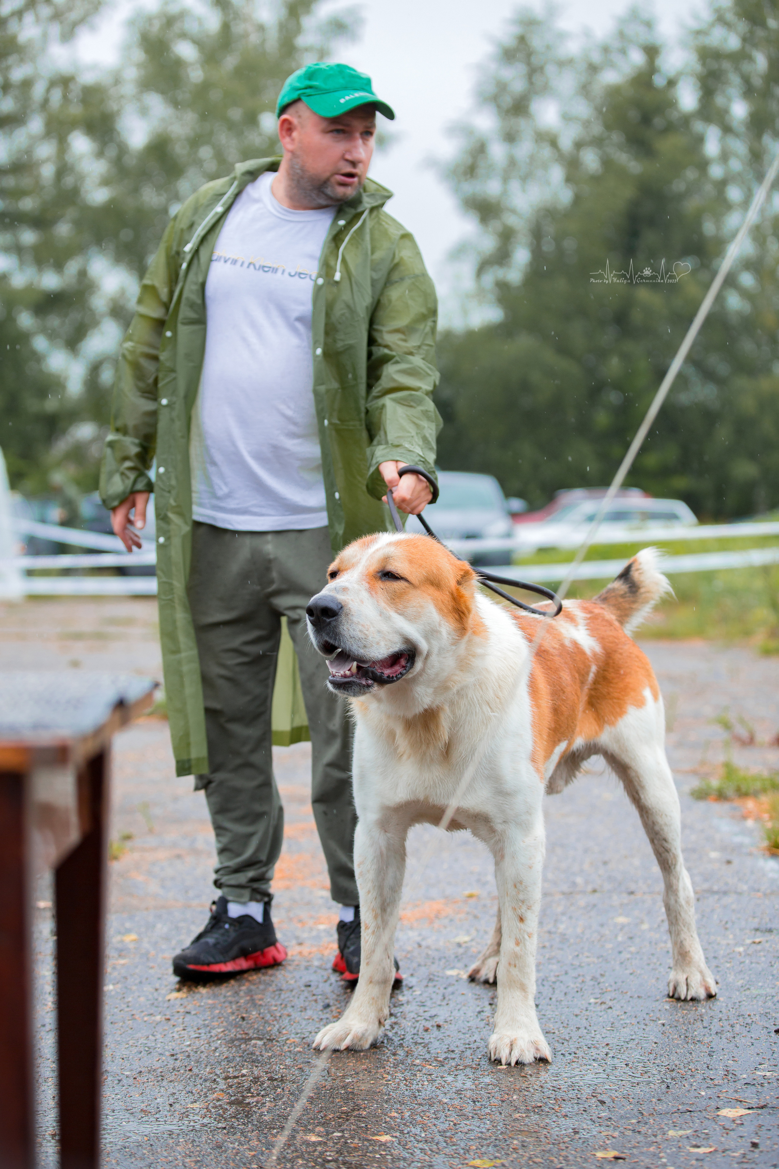 Ховрино 31.07,Чайна-Таун 6.08,Тверь 7.08. Фотограф-анималист Юлия Германика