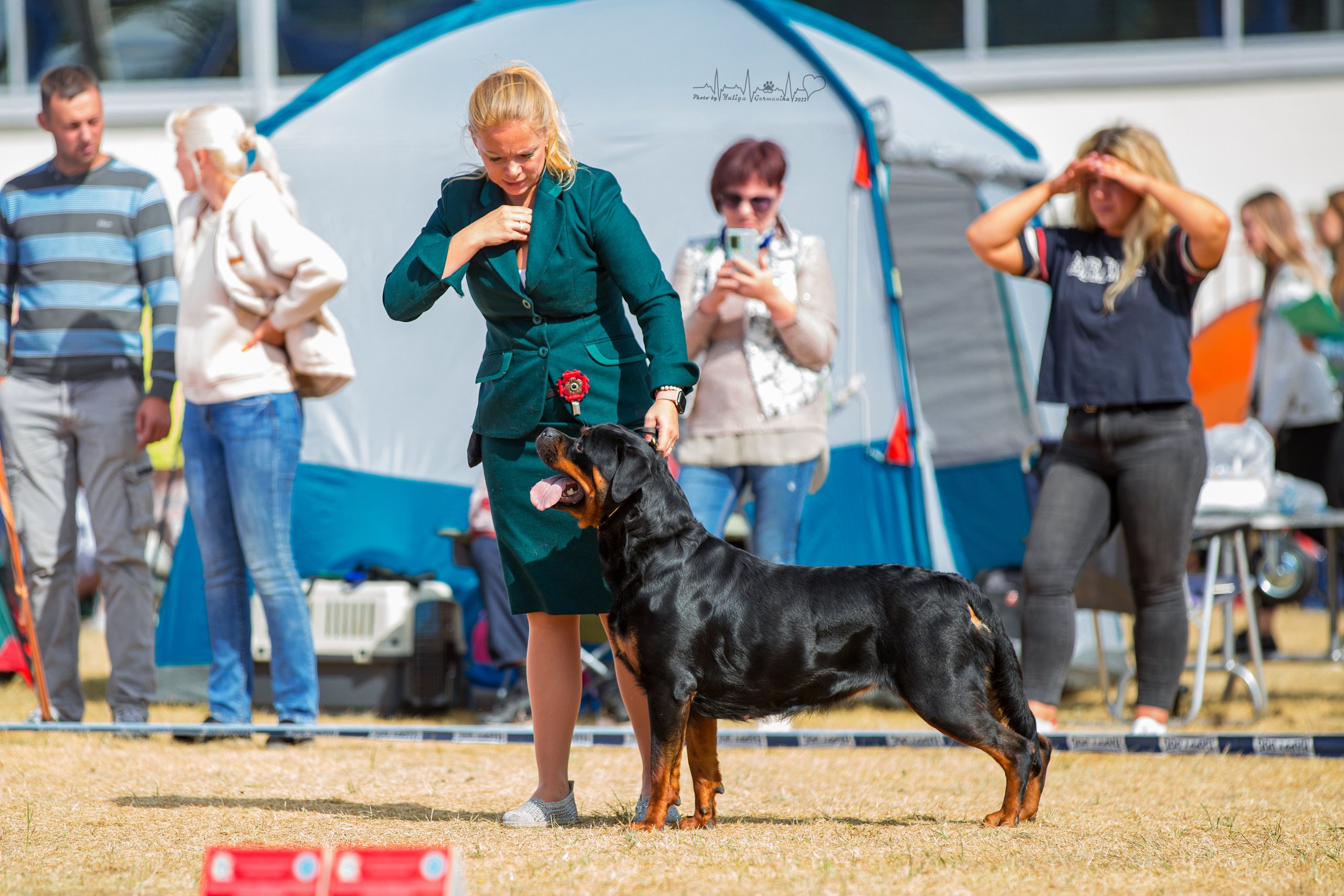 Минск 2хCACIB 3-4.09.2022. Фотограф-анималист Юлия Германика