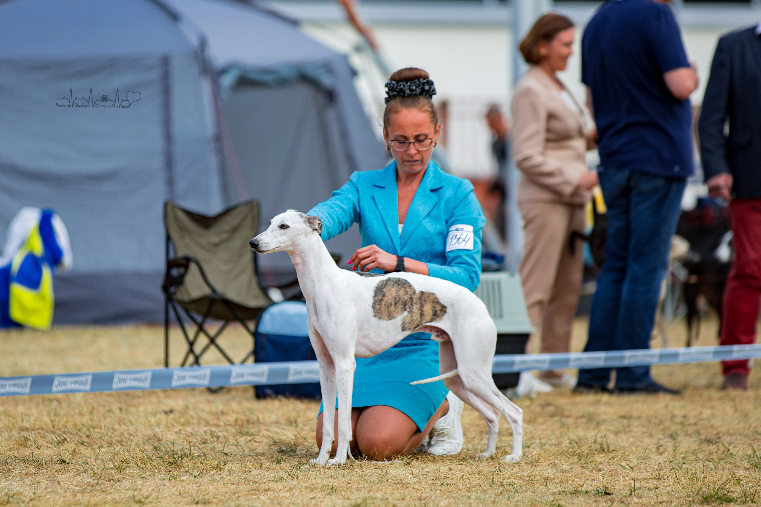 Минск 2хCACIB 3-4.09.2022. Фотограф-анималист Юлия Германика