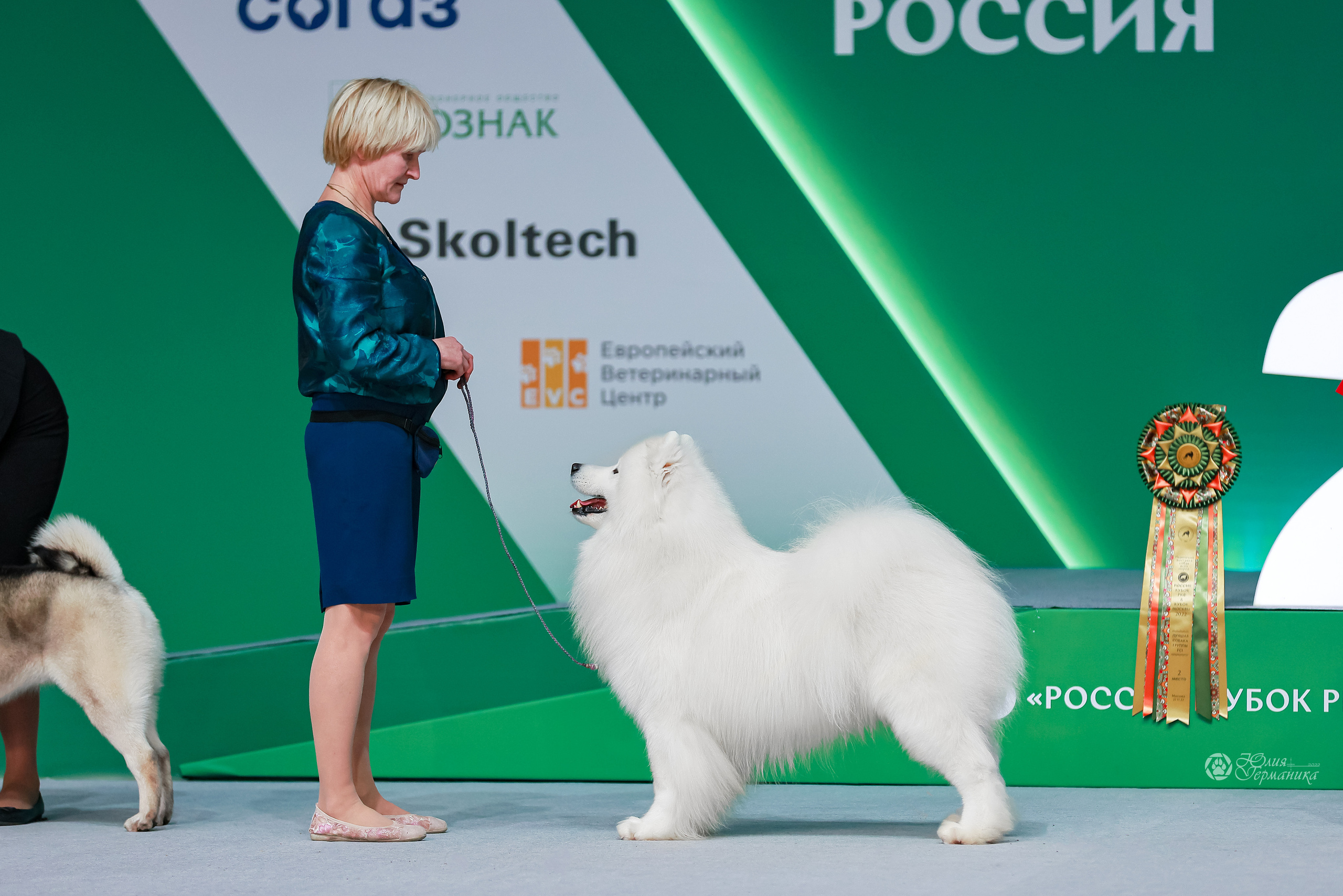 Россия 2020-2022 26-27.11.2022. Фотограф-анималист Юлия Германика