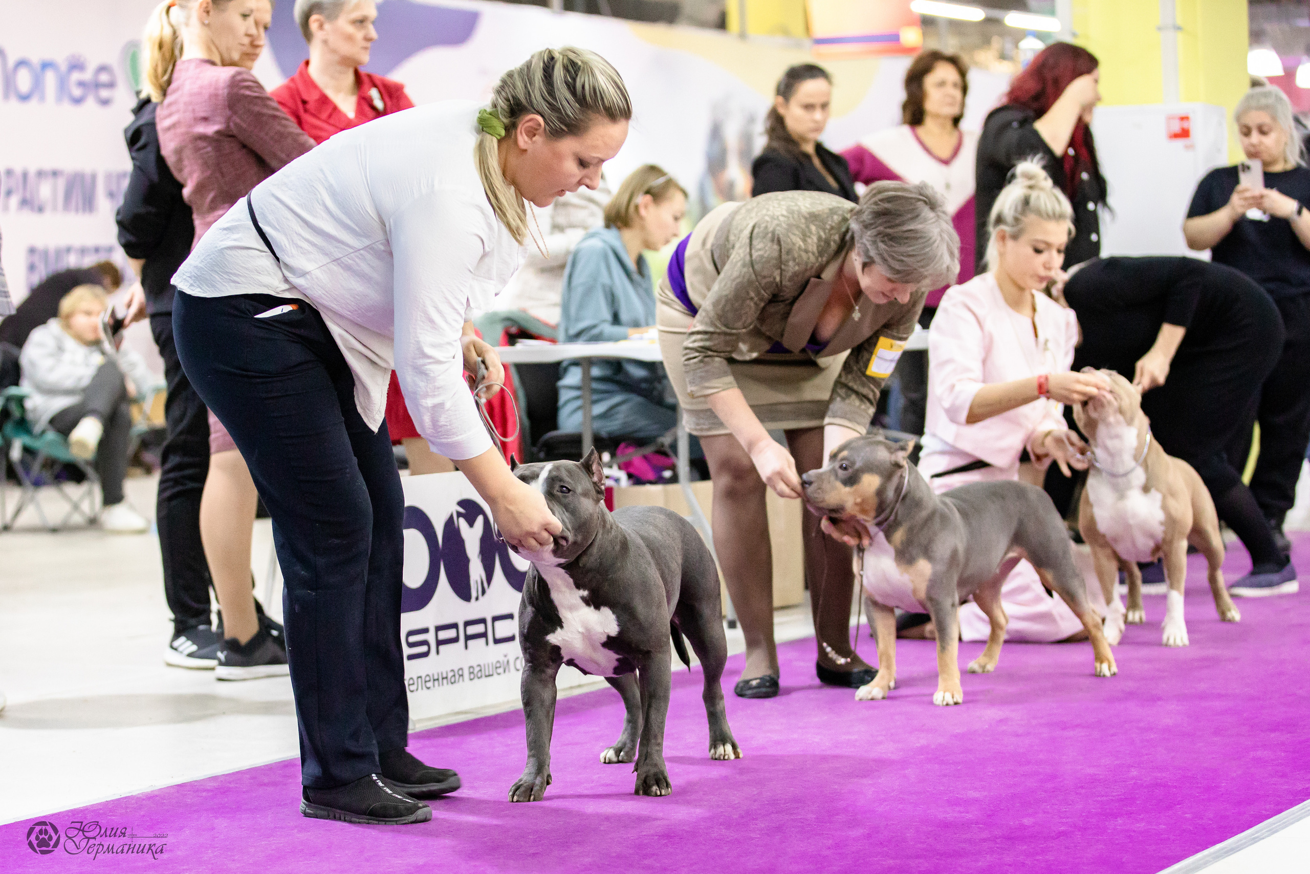 Чайна-Таун 29-30.10.2022. Фотограф-анималист Юлия Германика