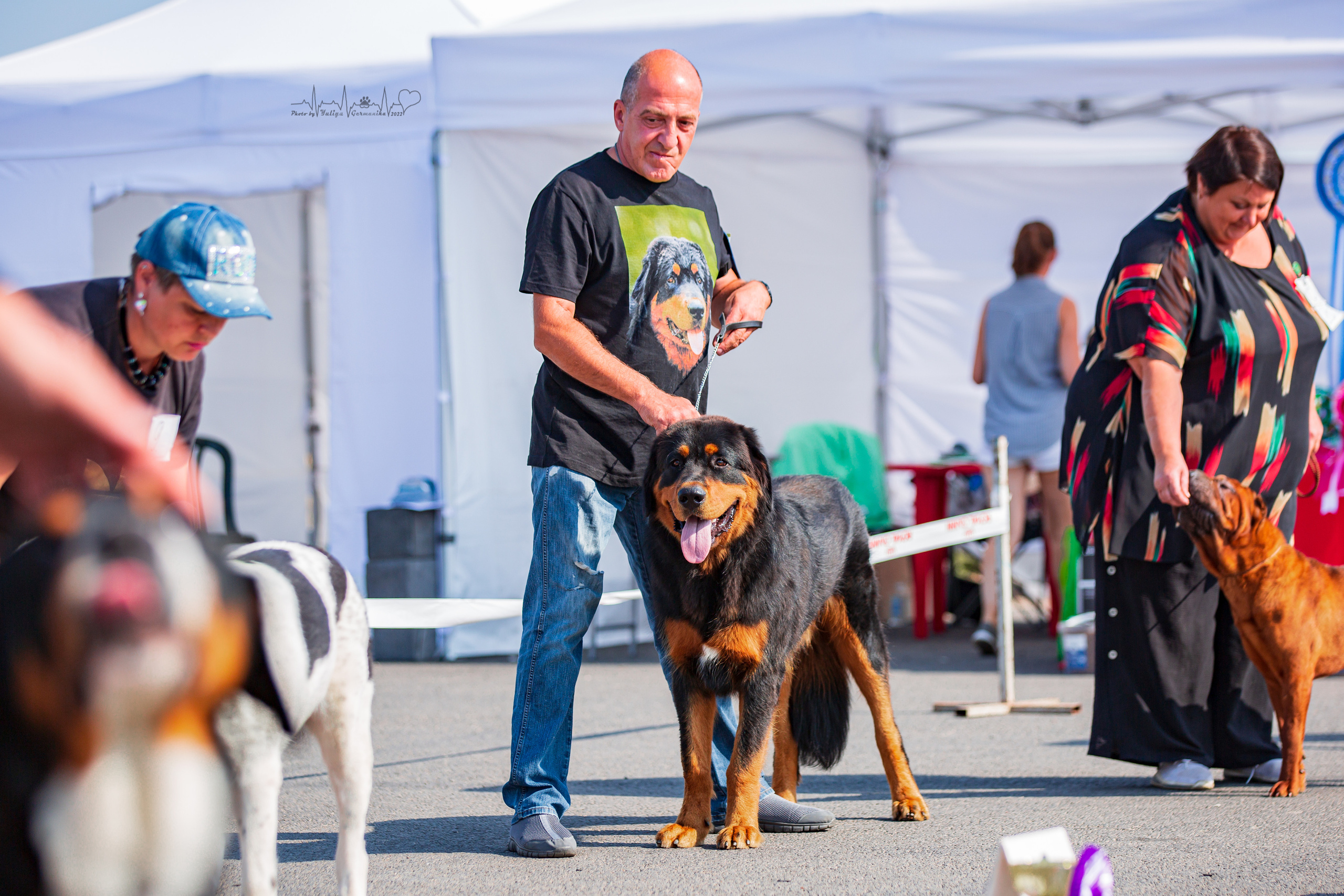 Сокольники 21.08,Сергиев Посад 27-28.08 2022. Фотограф-анималист Юлия Германика