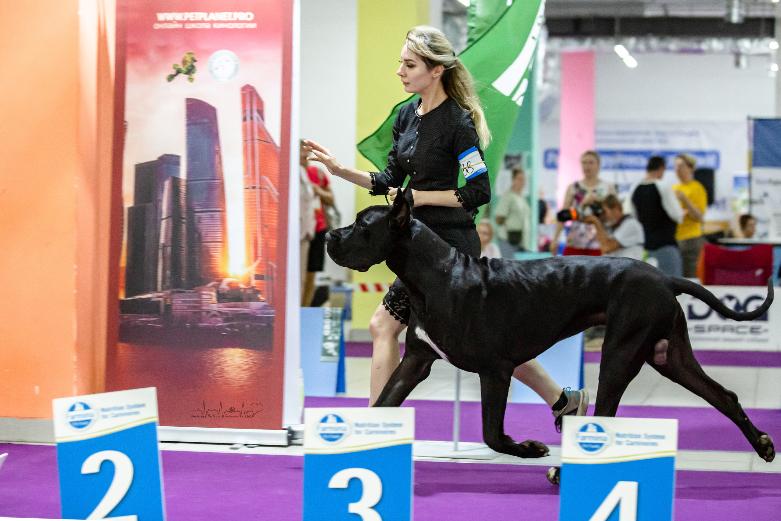 Ховрино 31.07,Чайна-Таун 6.08,Тверь 7.08. Фотограф-анималист Юлия Германика