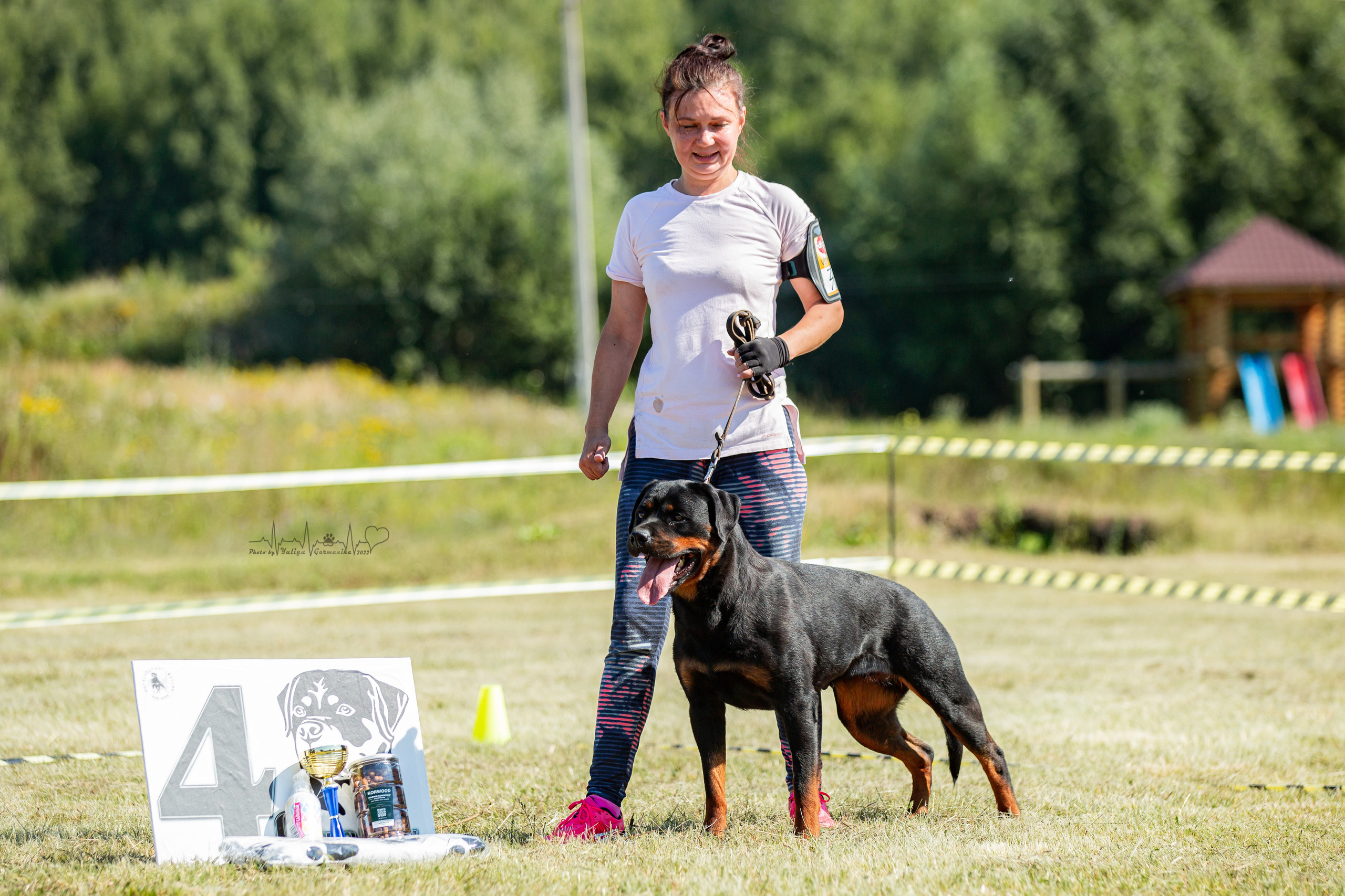 Рязань моно ротвейлеров 13.08.2022. Фотограф-анималист Юлия Германика