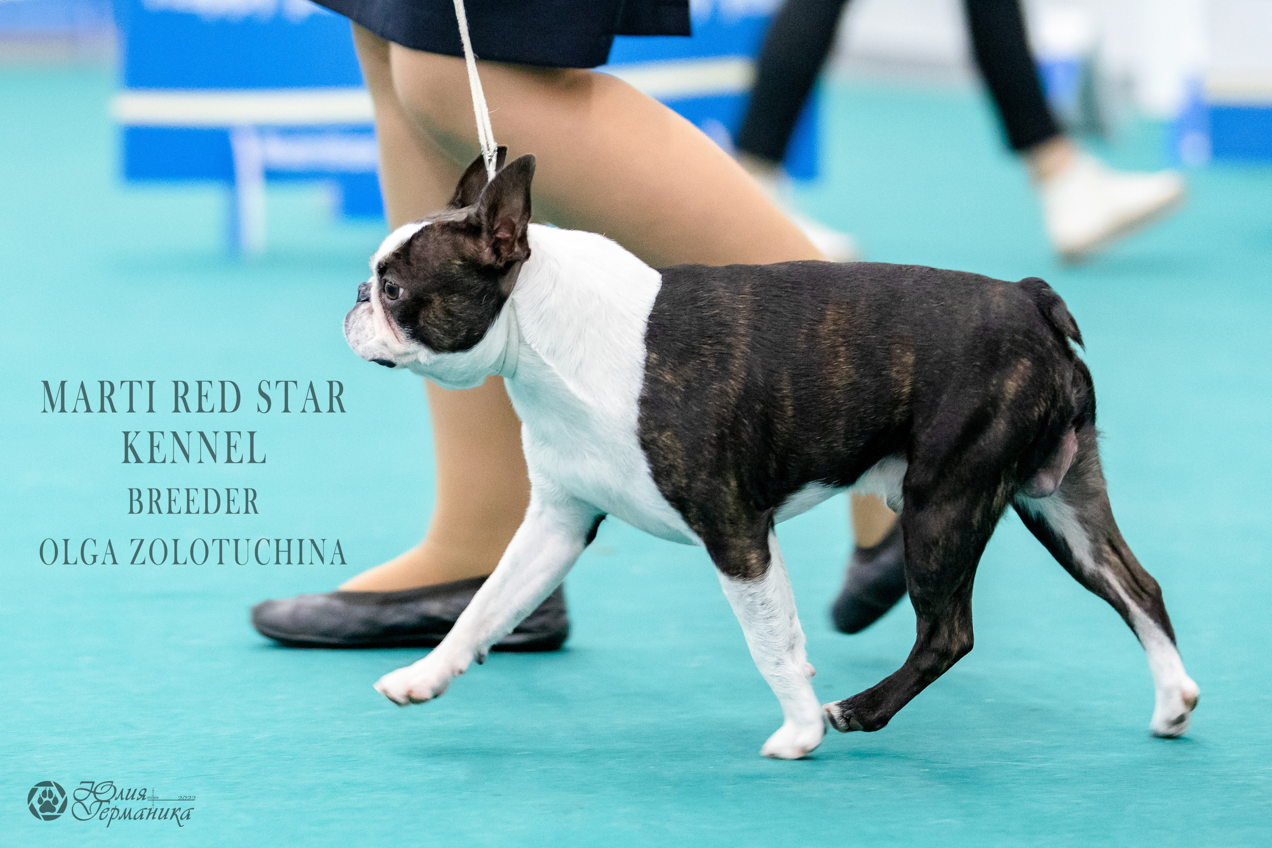 Нижний Новгород 15-16.10.2022. Фотограф-анималист Юлия Германика