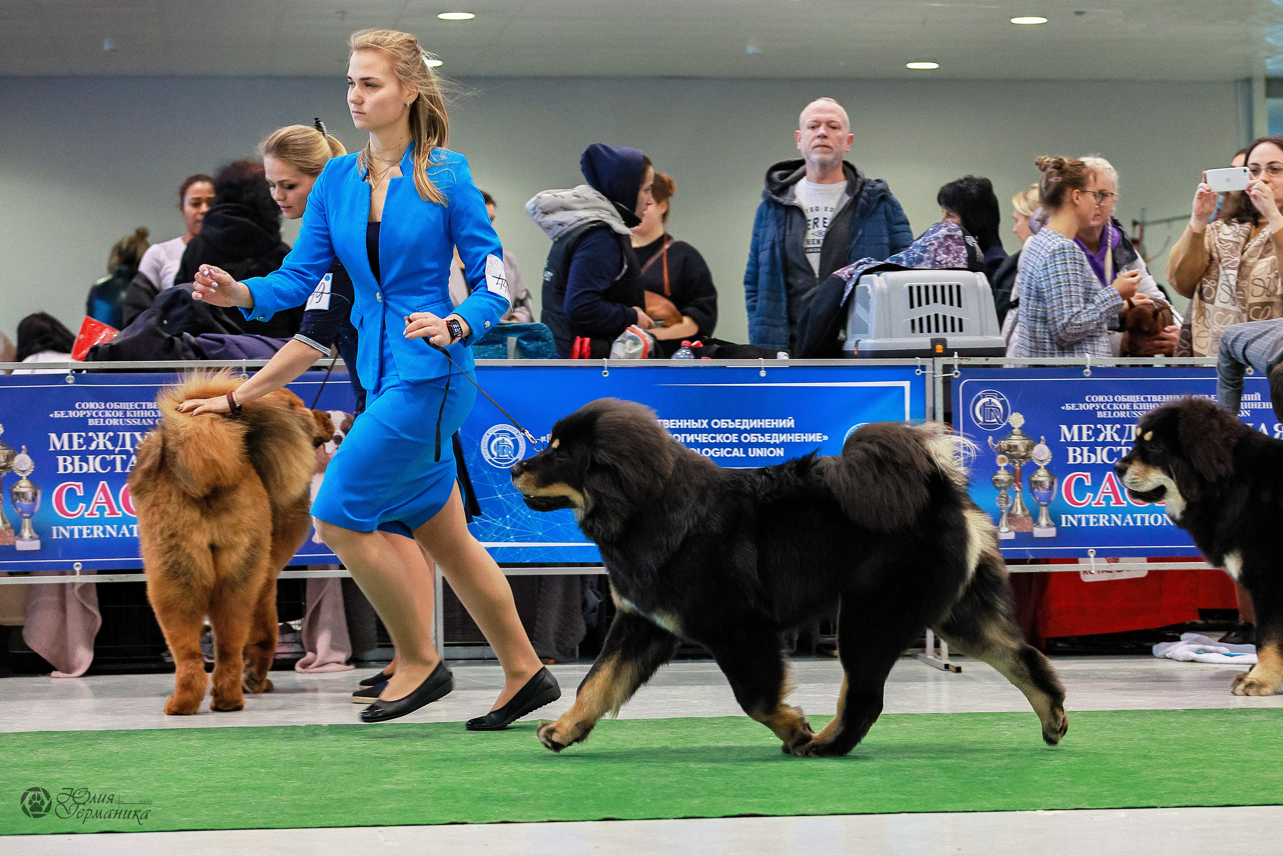 Минск 19-20.11.2022. Фотограф-анималист Юлия Германика