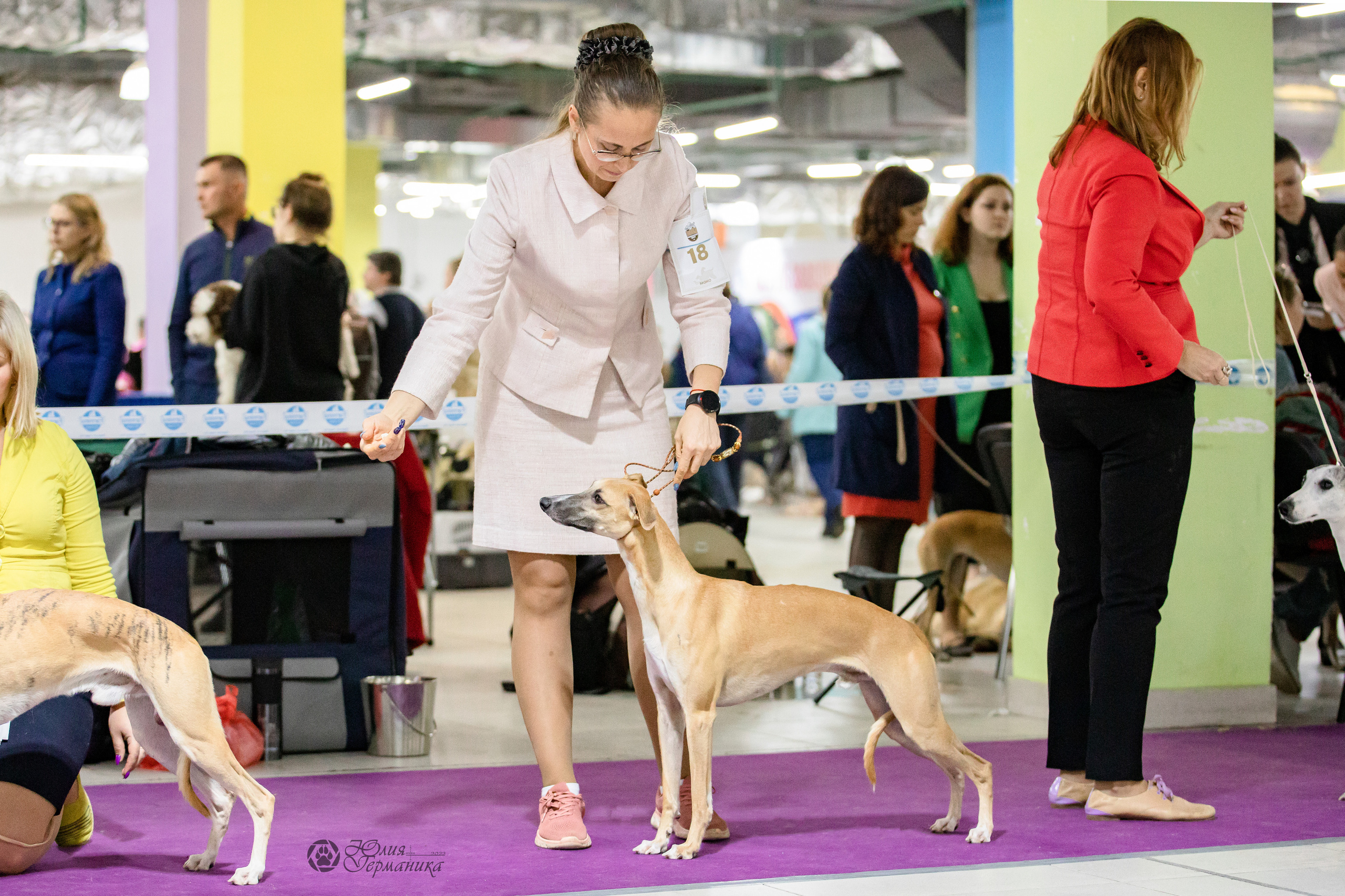 Чайна-Таун 29-30.10.2022. Фотограф-анималист Юлия Германика