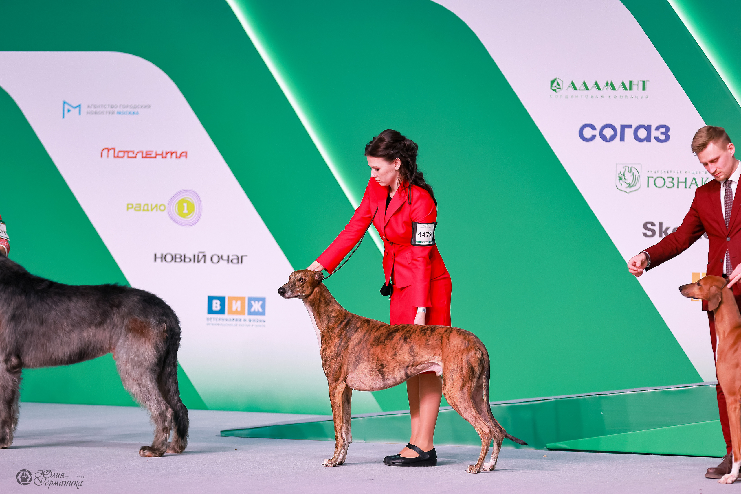 Россия 2020-2022 26-27.11.2022. Фотограф-анималист Юлия Германика