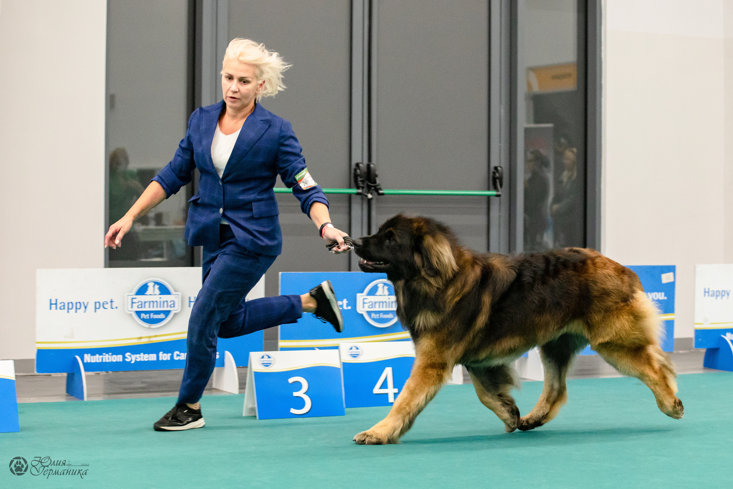 Нижний Новгород 15-16.10.2022. Фотограф-анималист Юлия Германика