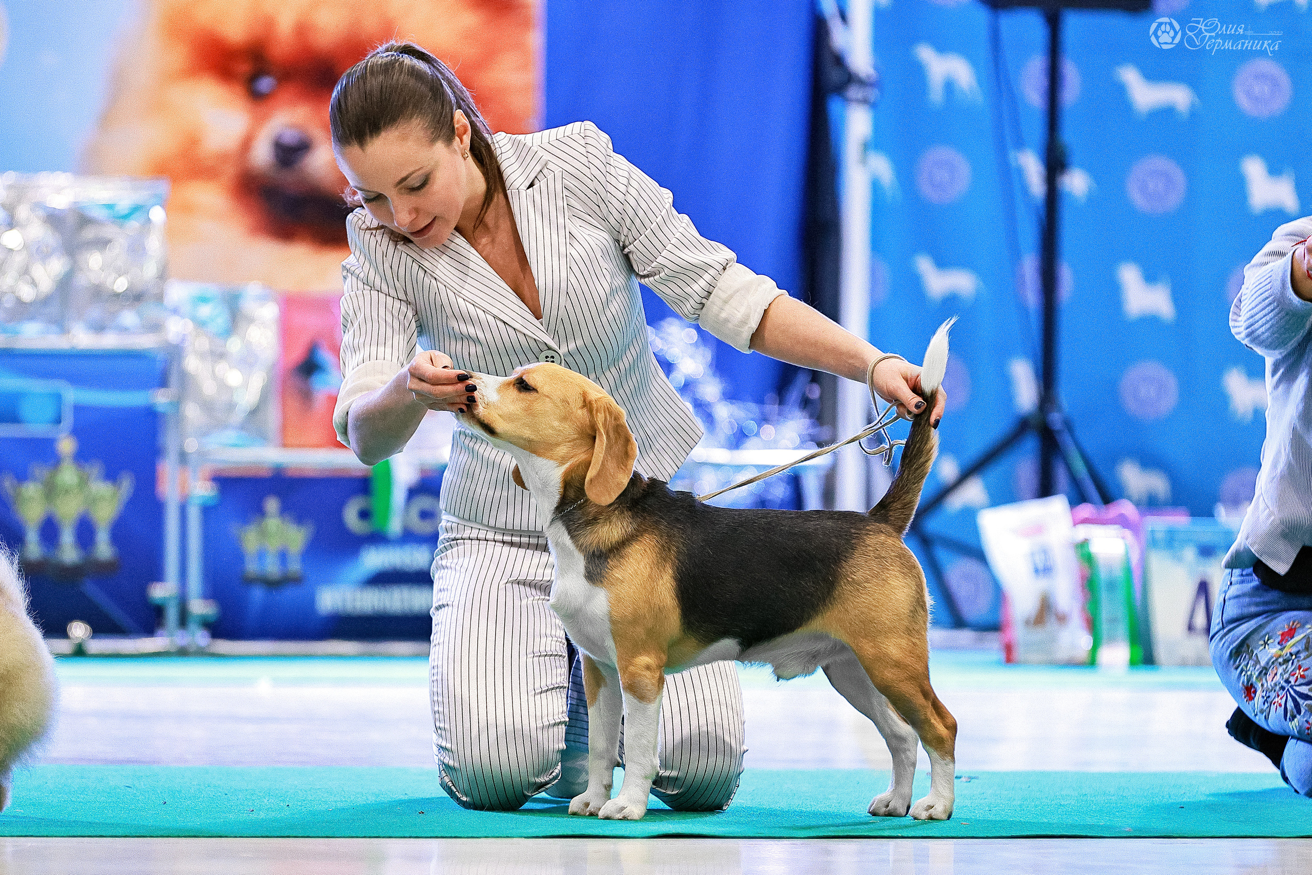 Минск 19-20.11.2022. Фотограф-анималист Юлия Германика