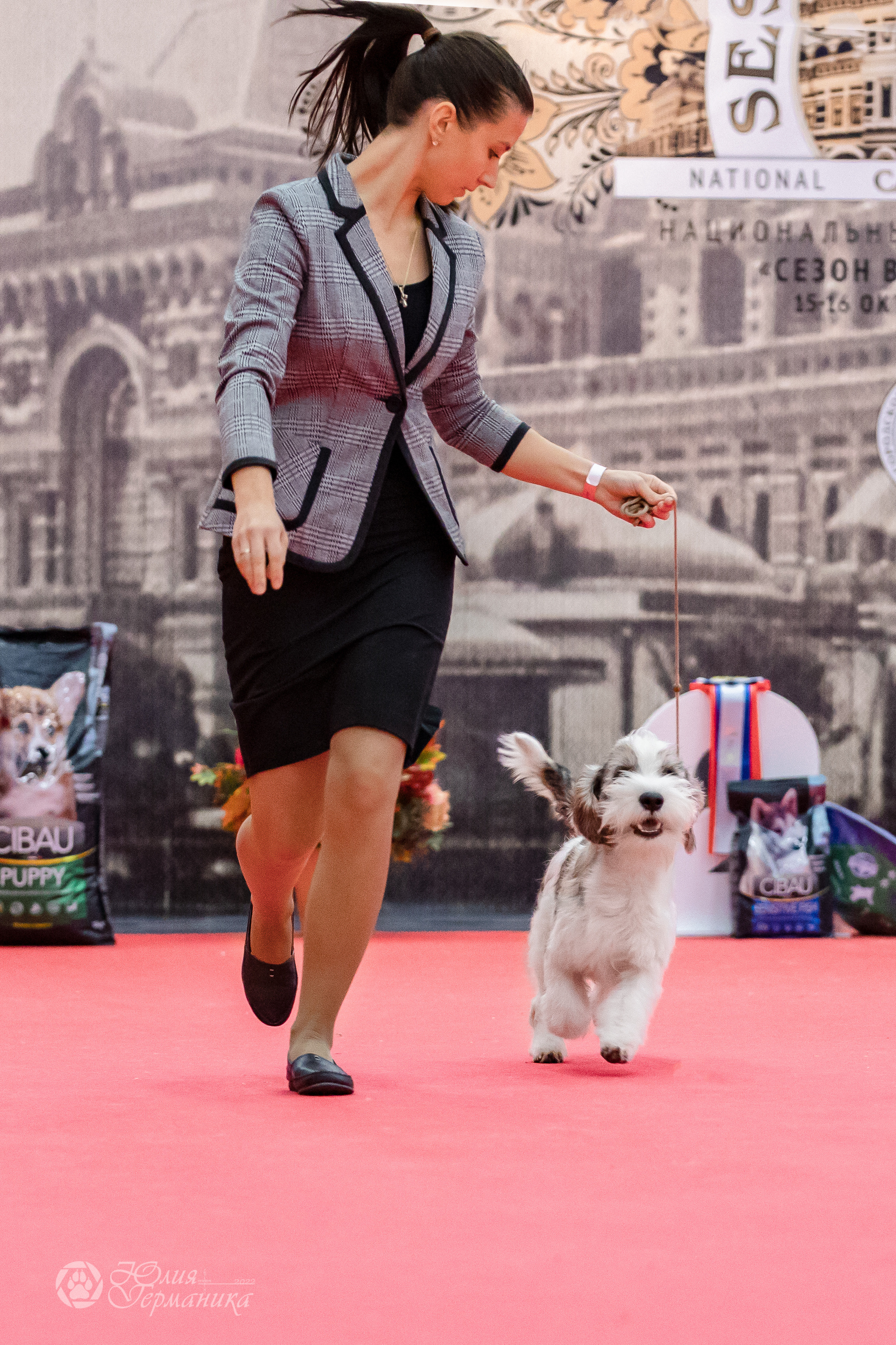 Нижний Новгород 15-16.10.2022. Фотограф-анималист Юлия Германика