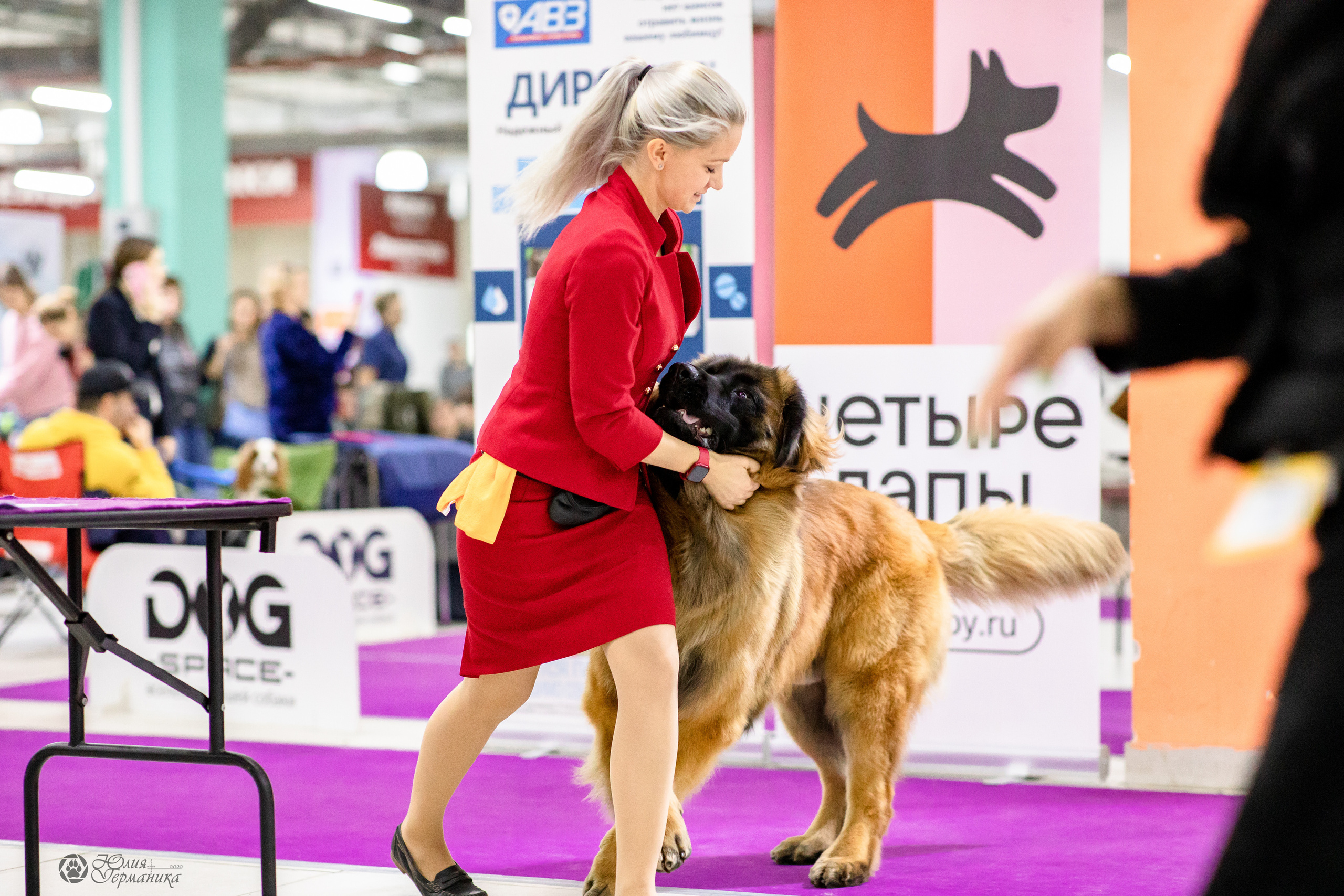 Чайна-Таун 29-30.10.2022. Фотограф-анималист Юлия Германика