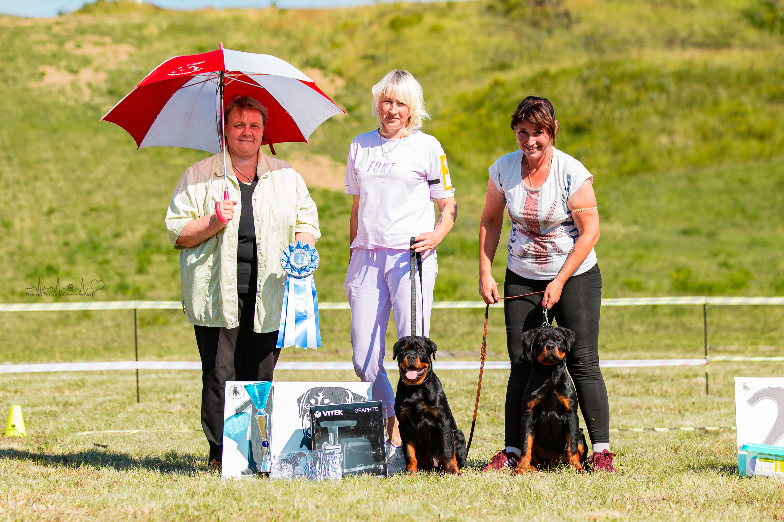 Рязань моно ротвейлеров 13.08.2022. Фотограф-анималист Юлия Германика