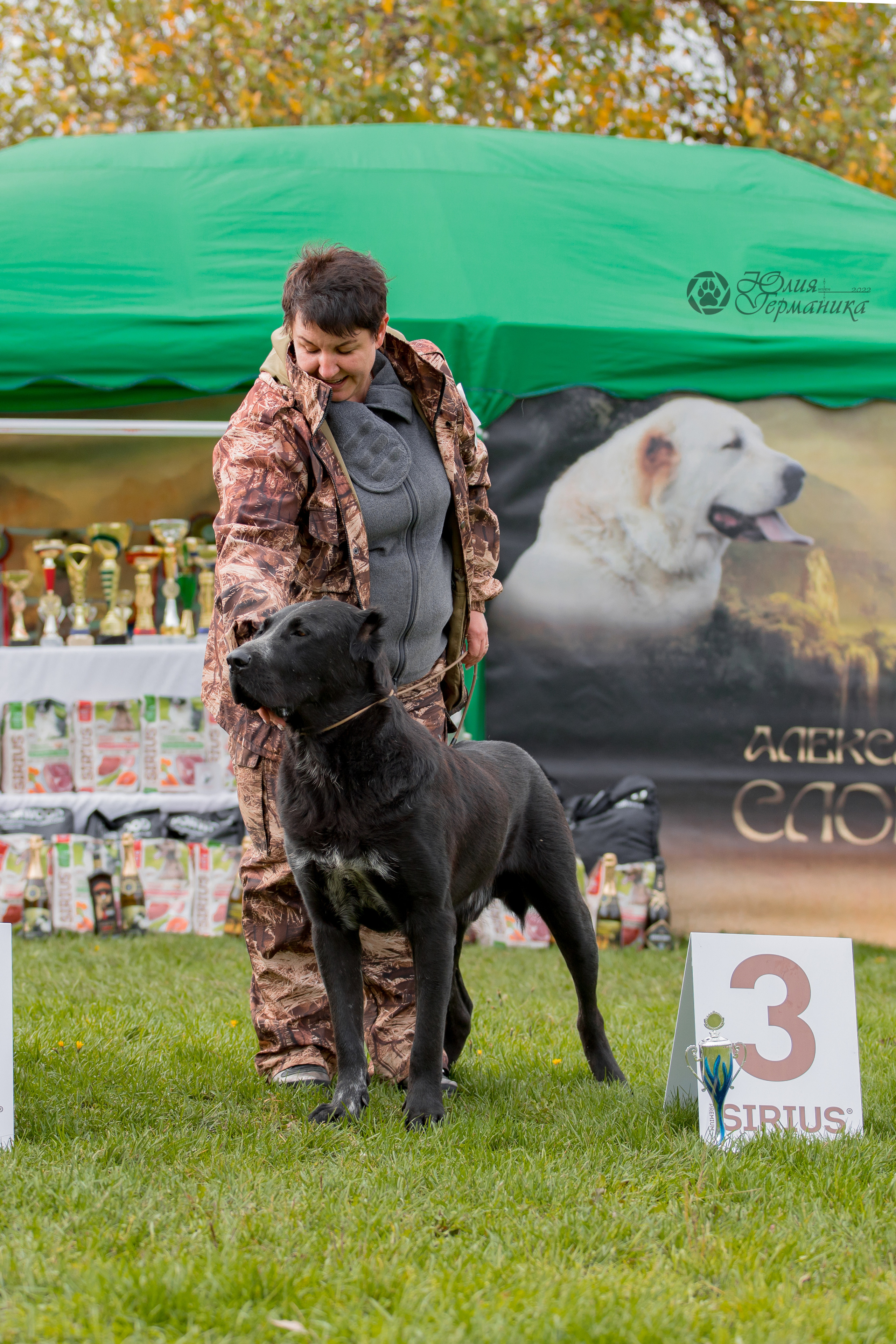 Александрова Слобода моно сао 2.10.2022. Фотограф-анималист Юлия Германика