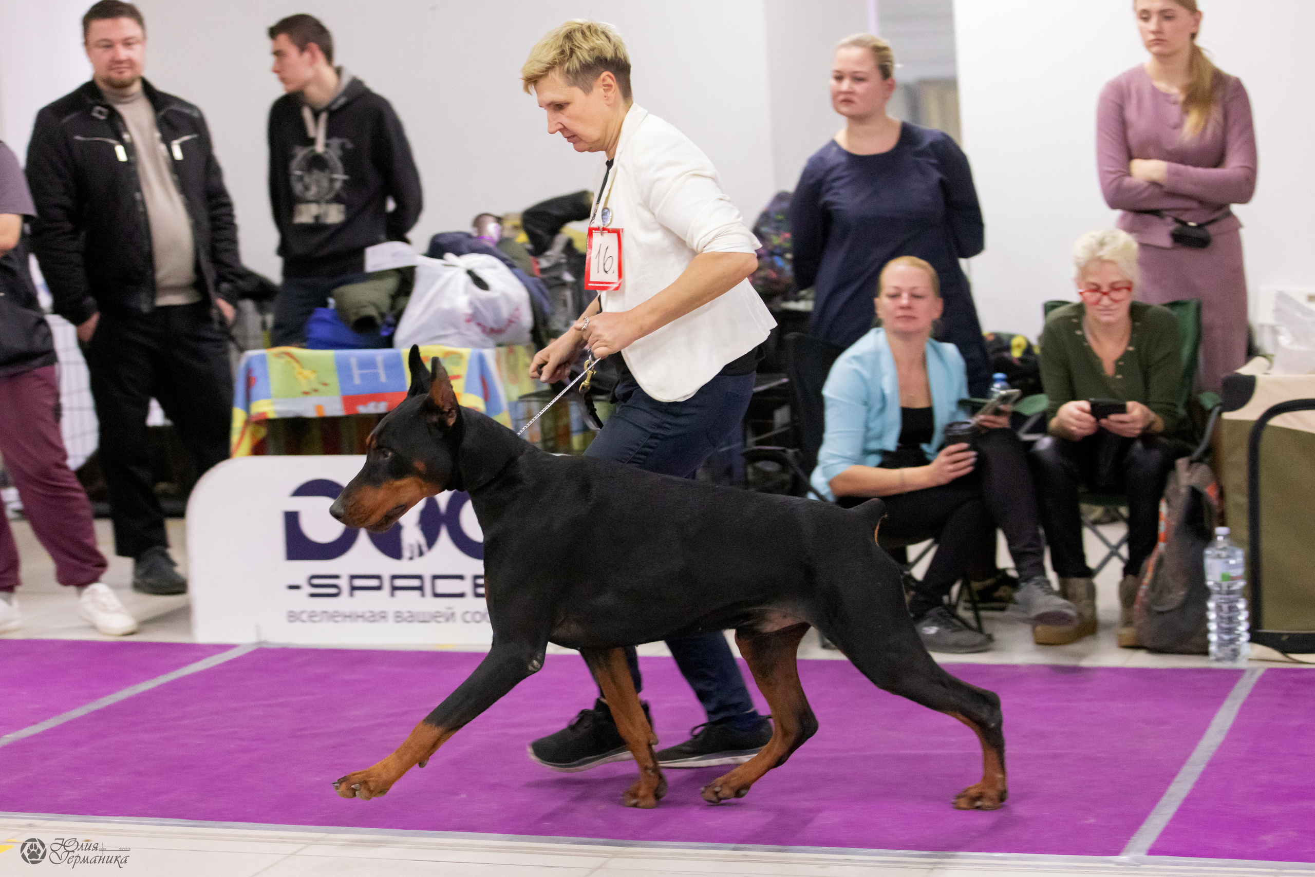 Чайна-Таун 3 и 12.11.2022. Фотограф-анималист Юлия Германика