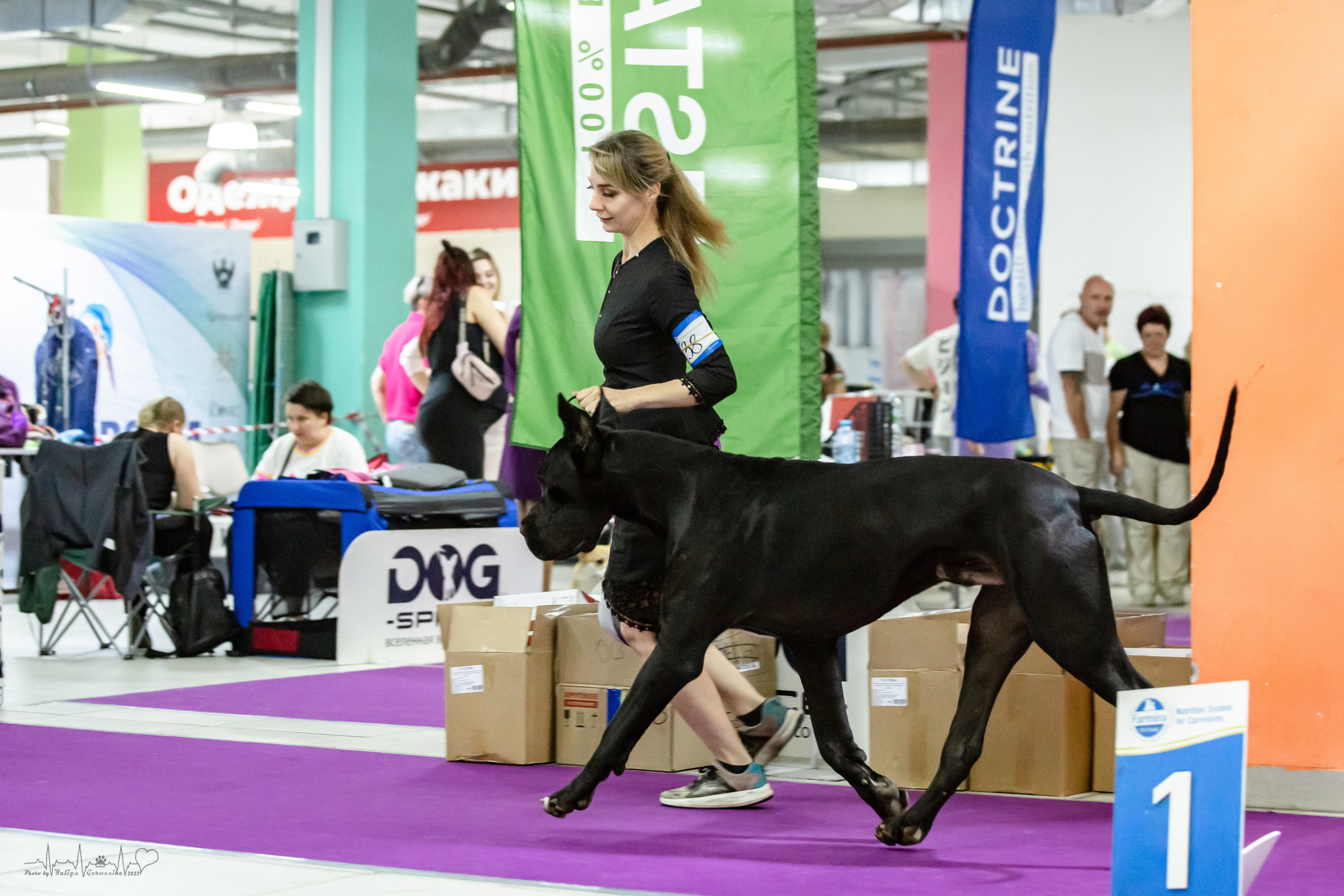 Ховрино 31.07,Чайна-Таун 6.08,Тверь 7.08. Фотограф-анималист Юлия Германика