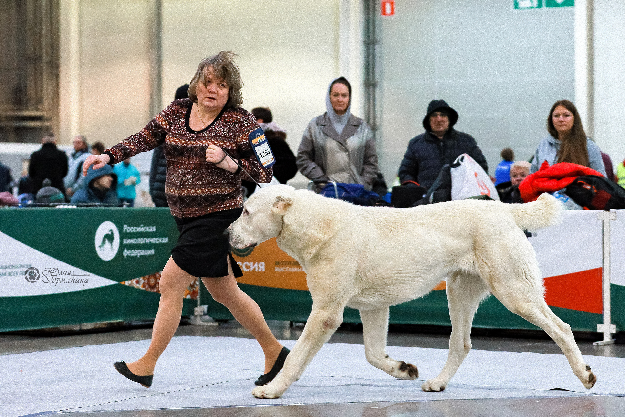 Россия 2020-2022 26-27.11.2022. Фотограф-анималист Юлия Германика