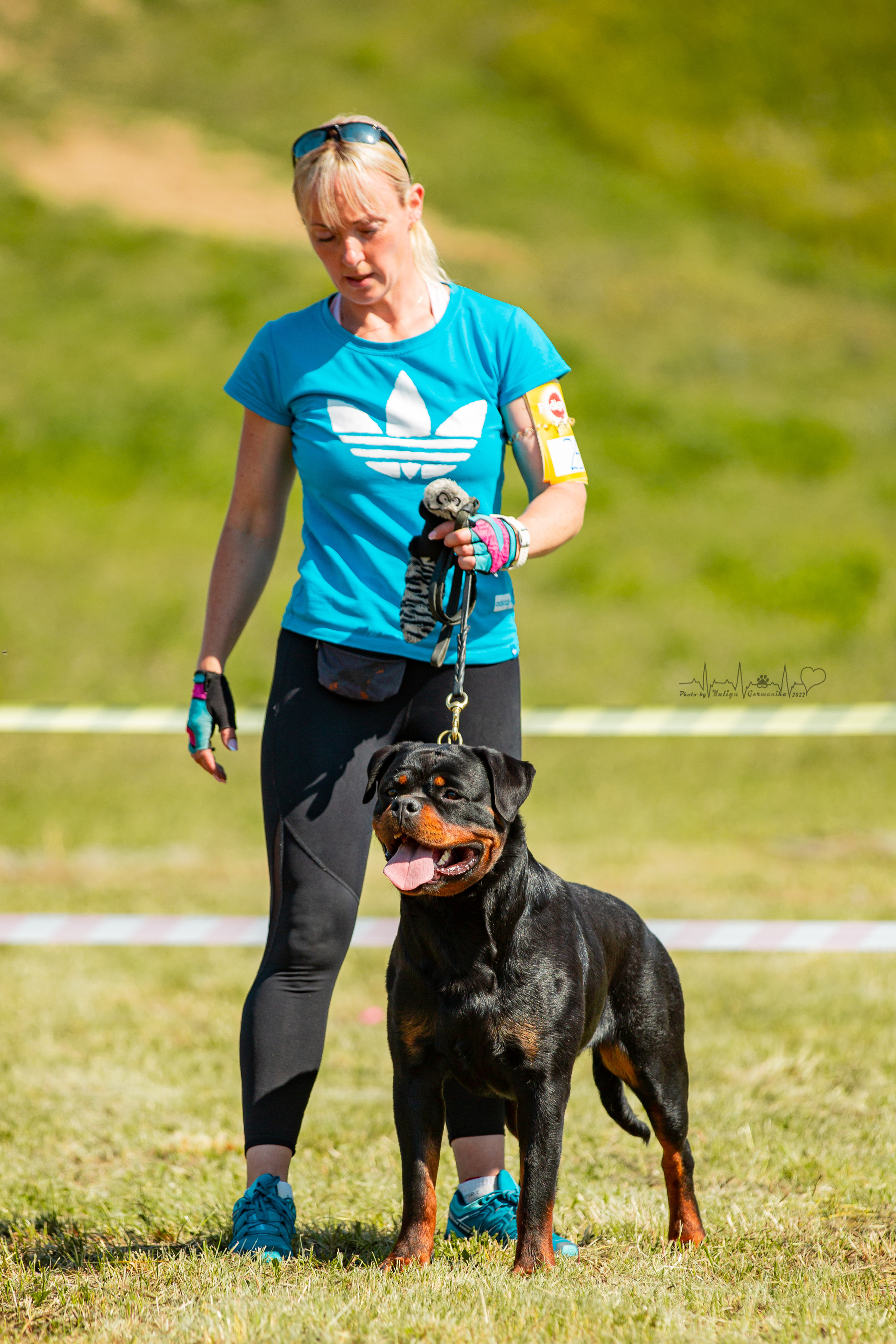 Рязань моно ротвейлеров 13.08.2022. Фотограф-анималист Юлия Германика