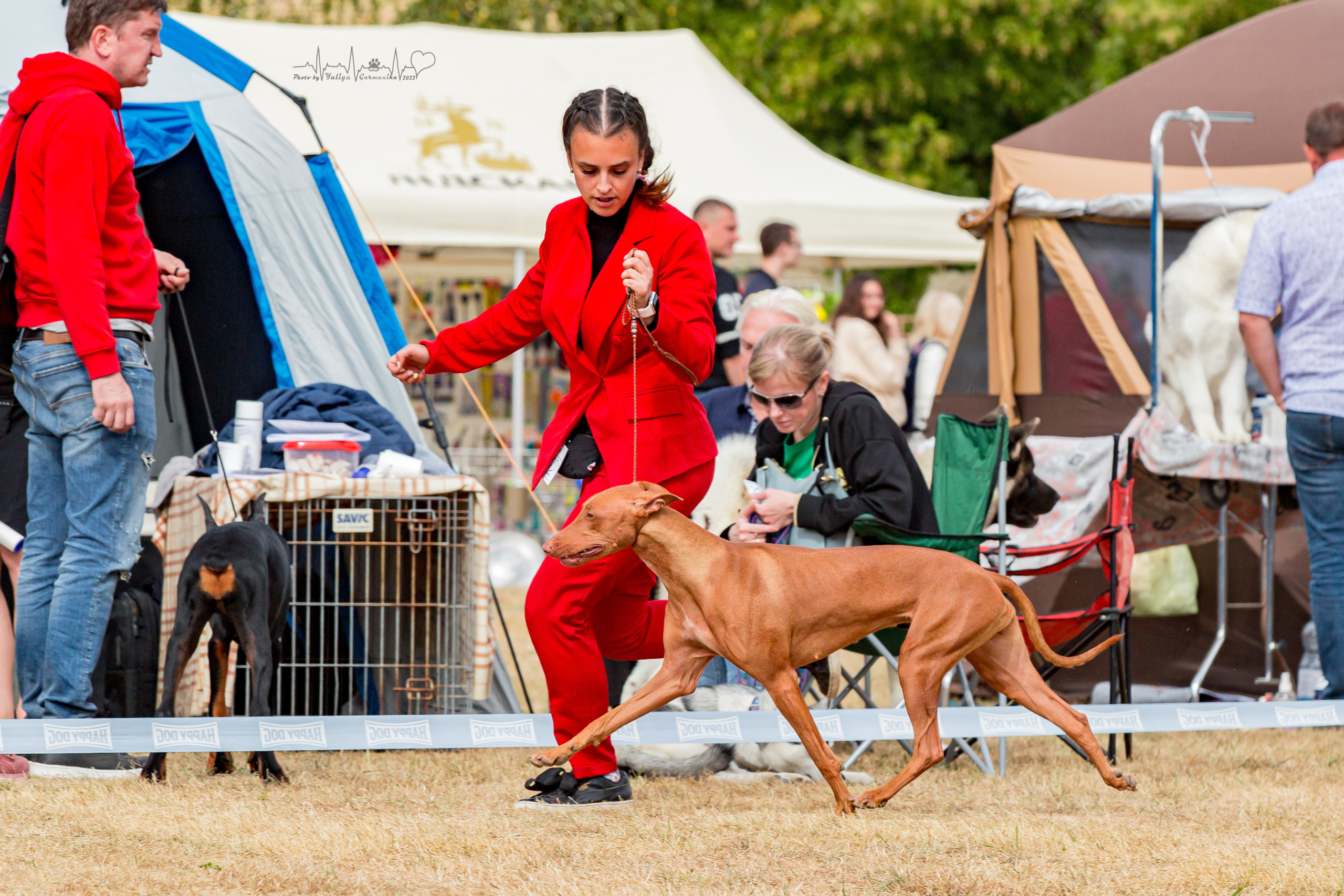 Минск 2хCACIB 3-4.09.2022. Фотограф-анималист Юлия Германика