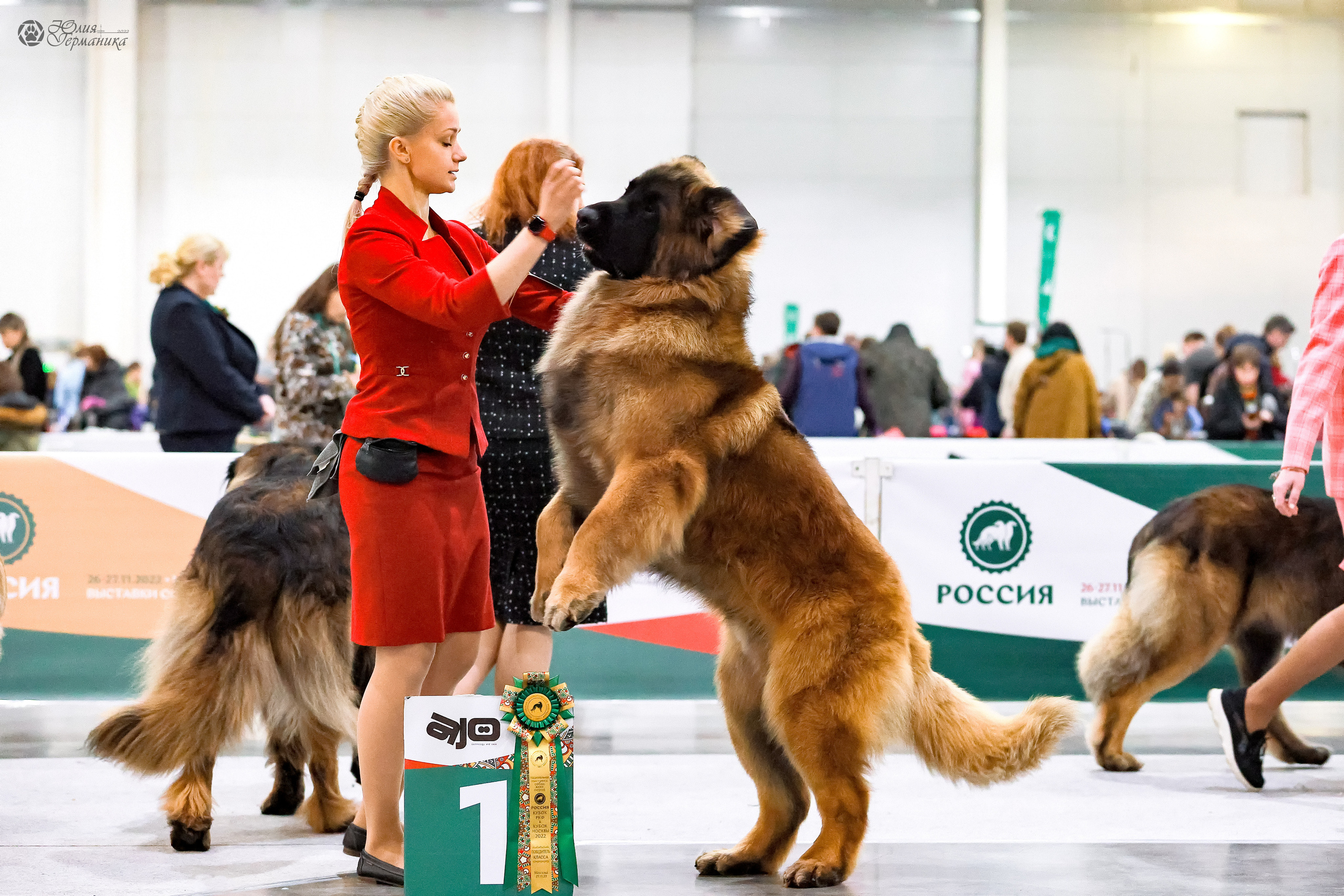 Россия 2020-2022 26-27.11.2022. Фотограф-анималист Юлия Германика