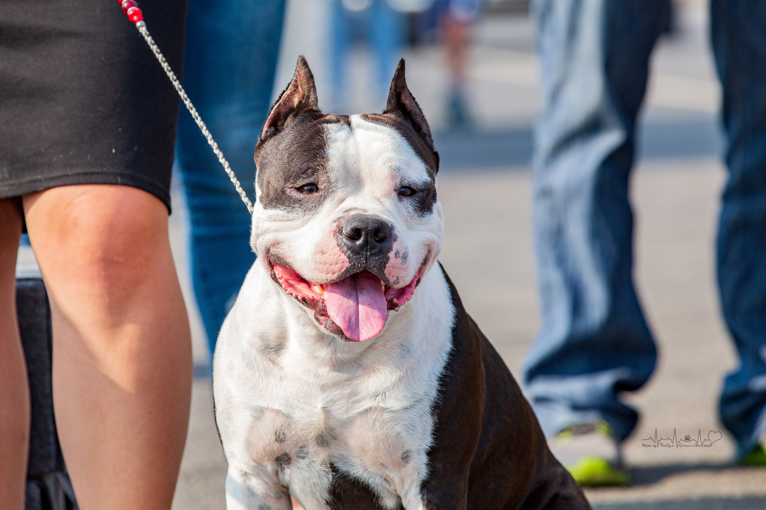 Сокольники 21.08,Сергиев Посад 27-28.08 2022. Фотограф-анималист Юлия Германика