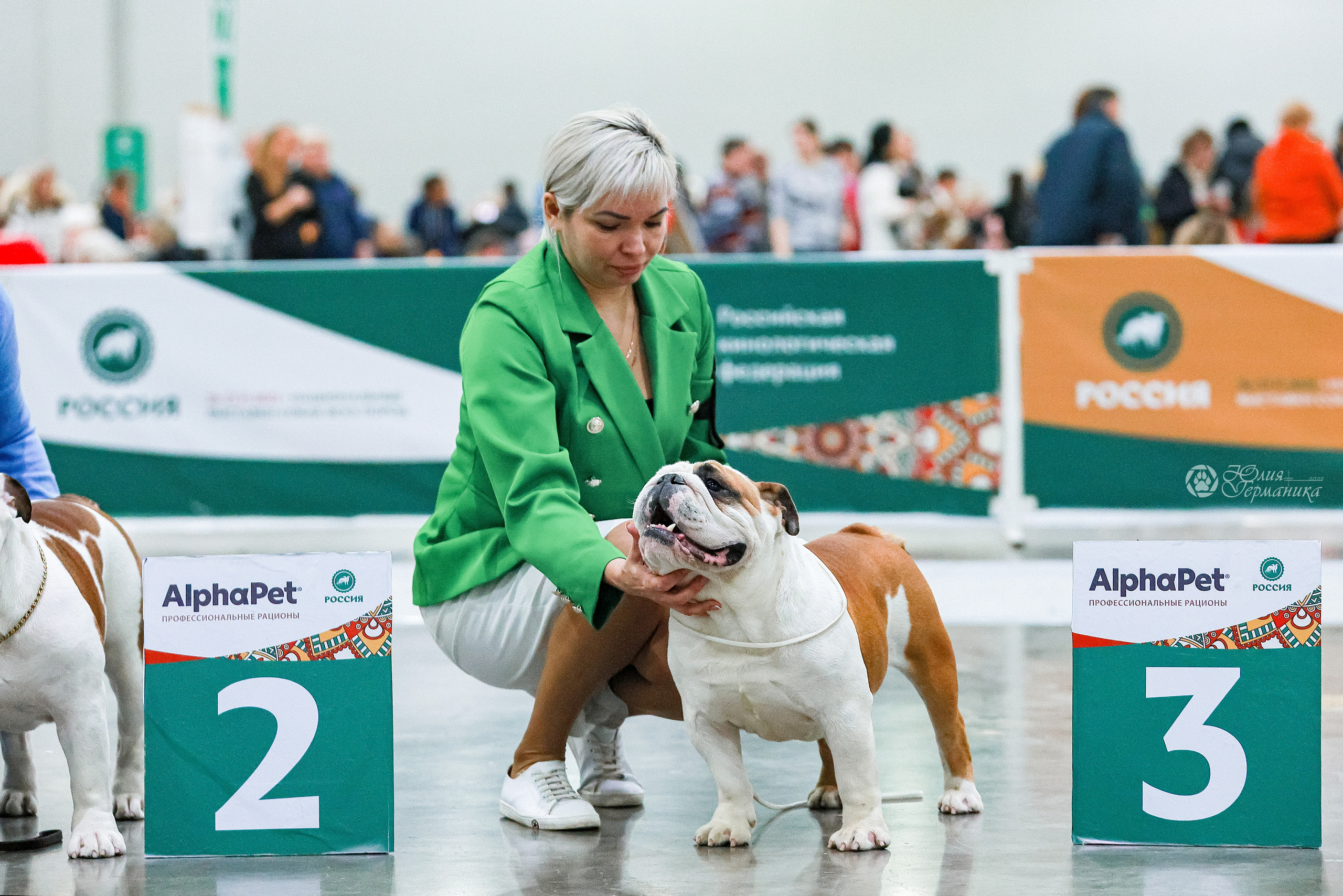 Россия 2020-2022 26-27.11.2022. Фотограф-анималист Юлия Германика