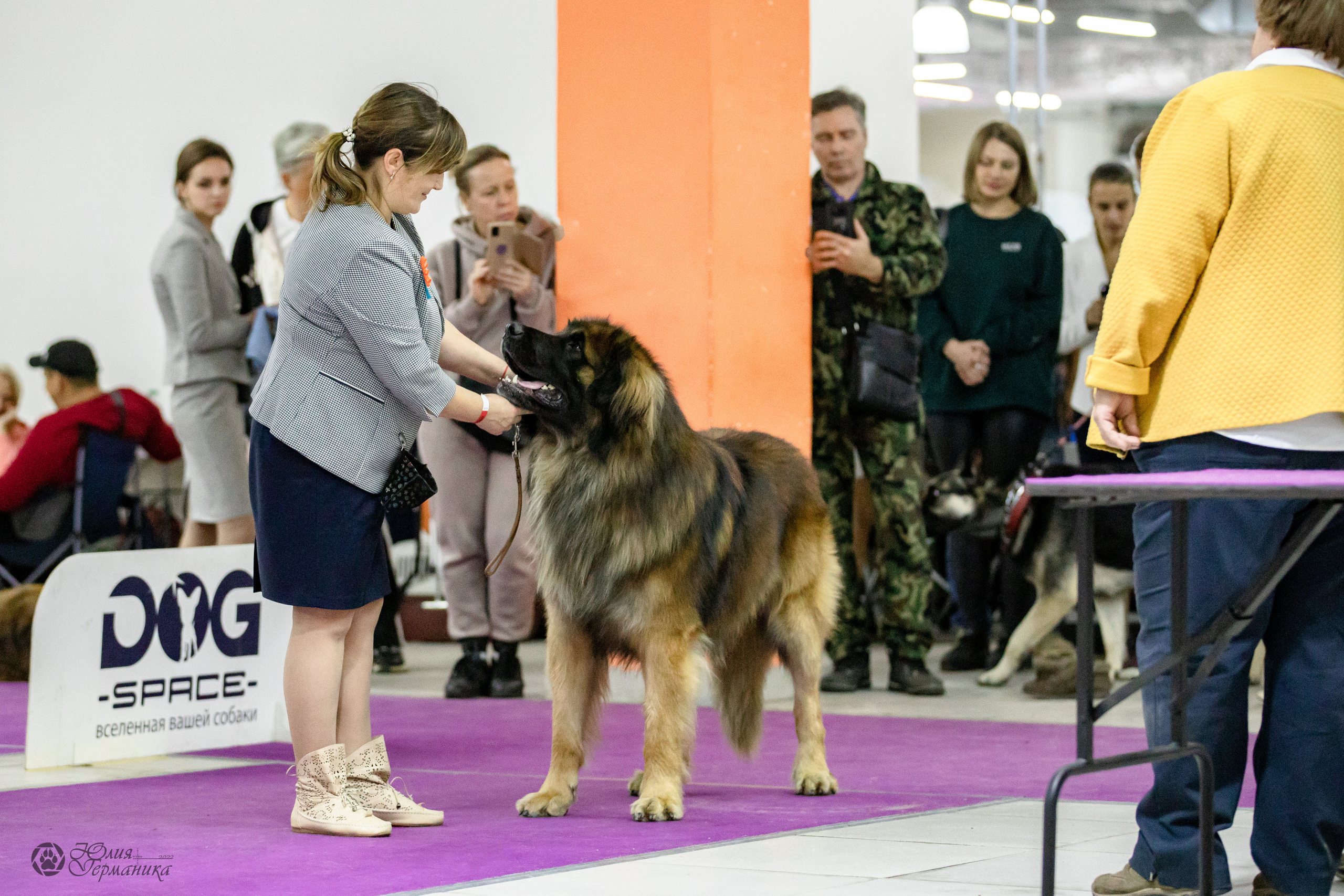 Чайна-Таун 29-30.10.2022. Фотограф-анималист Юлия Германика