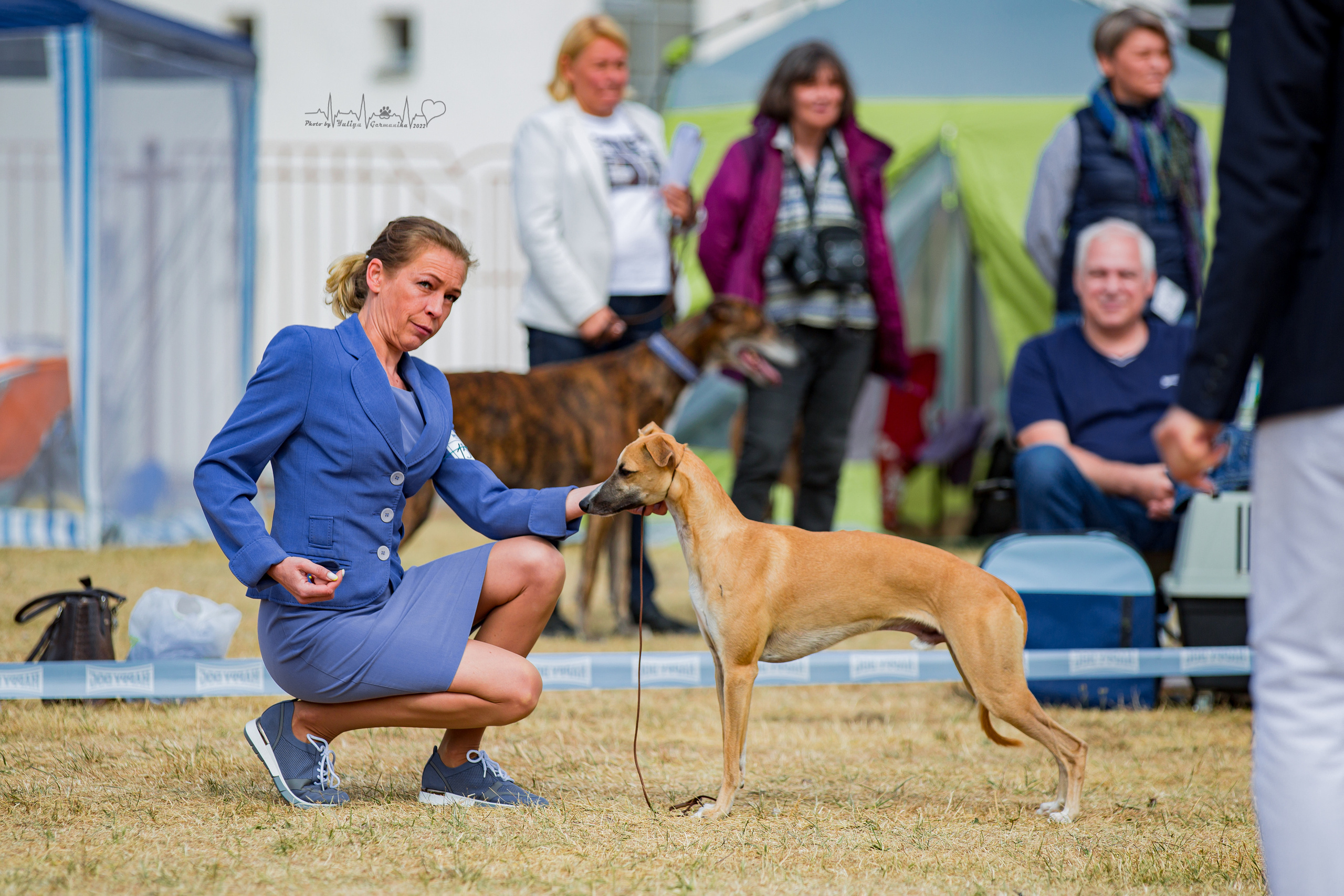 Минск 2хCACIB 3-4.09.2022. Фотограф-анималист Юлия Германика
