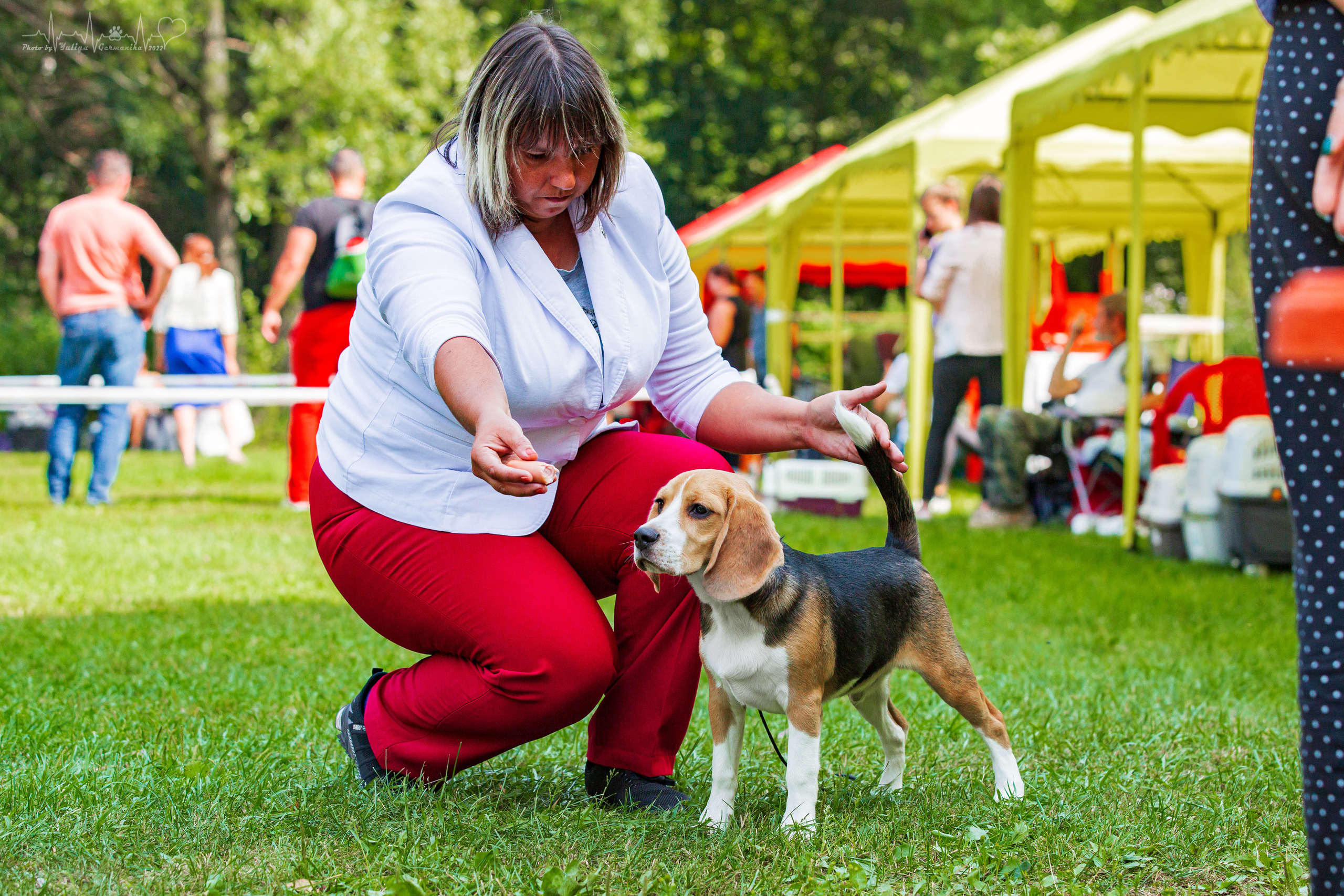Сокольники 21.08,Сергиев Посад 27-28.08 2022. Фотограф-анималист Юлия Германика