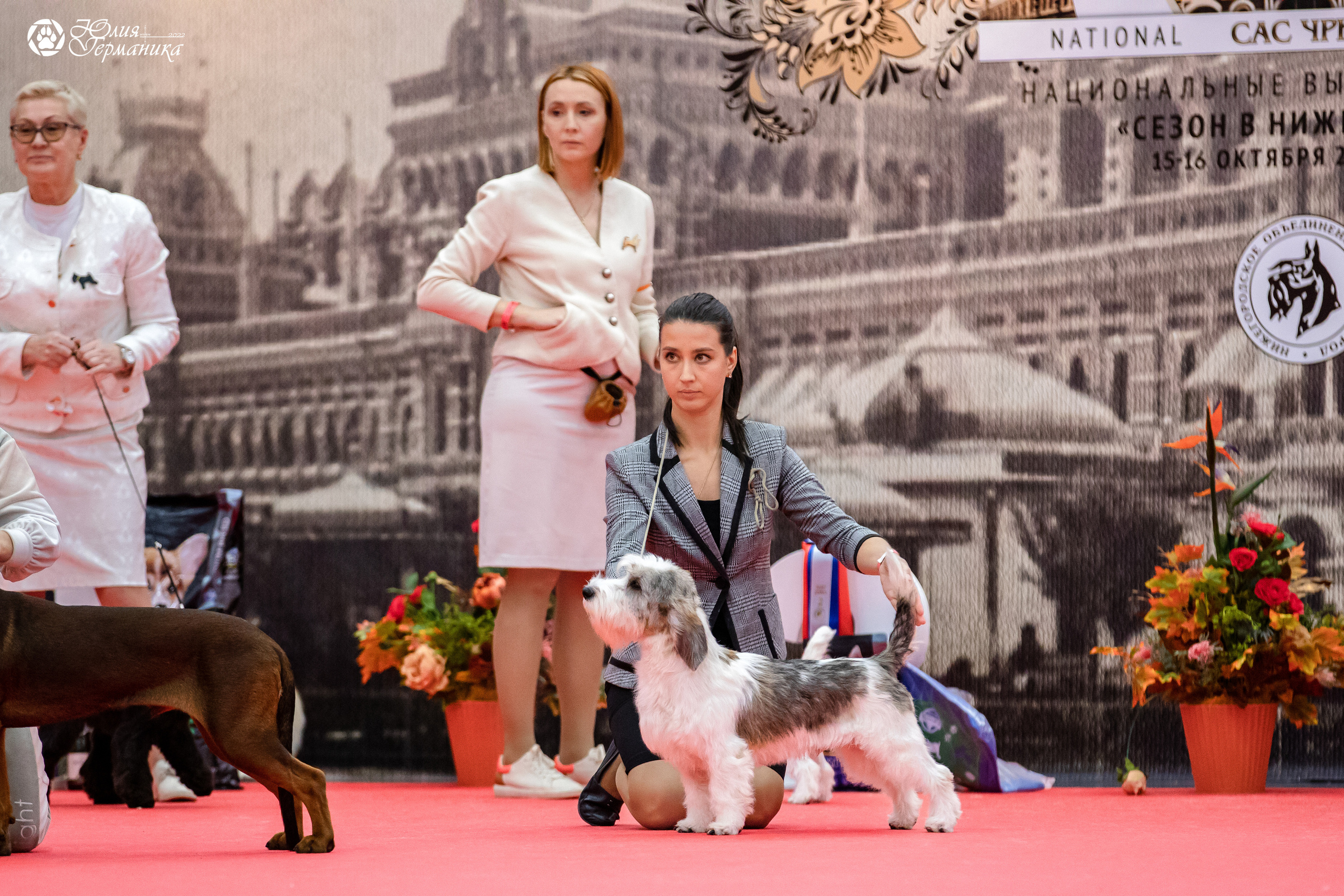 Нижний Новгород 15-16.10.2022. Фотограф-анималист Юлия Германика