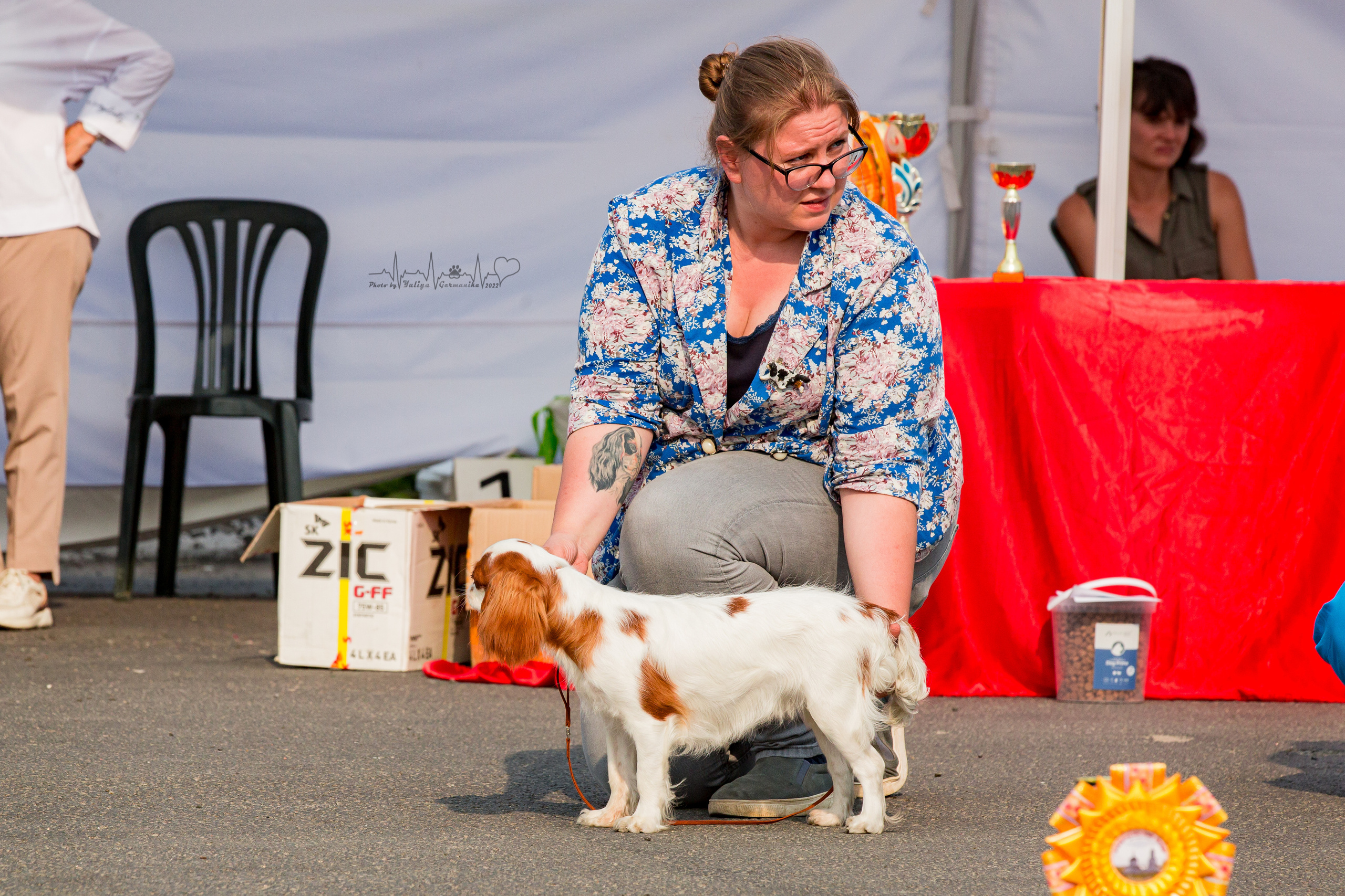 Сокольники 21.08,Сергиев Посад 27-28.08 2022. Фотограф-анималист Юлия Германика