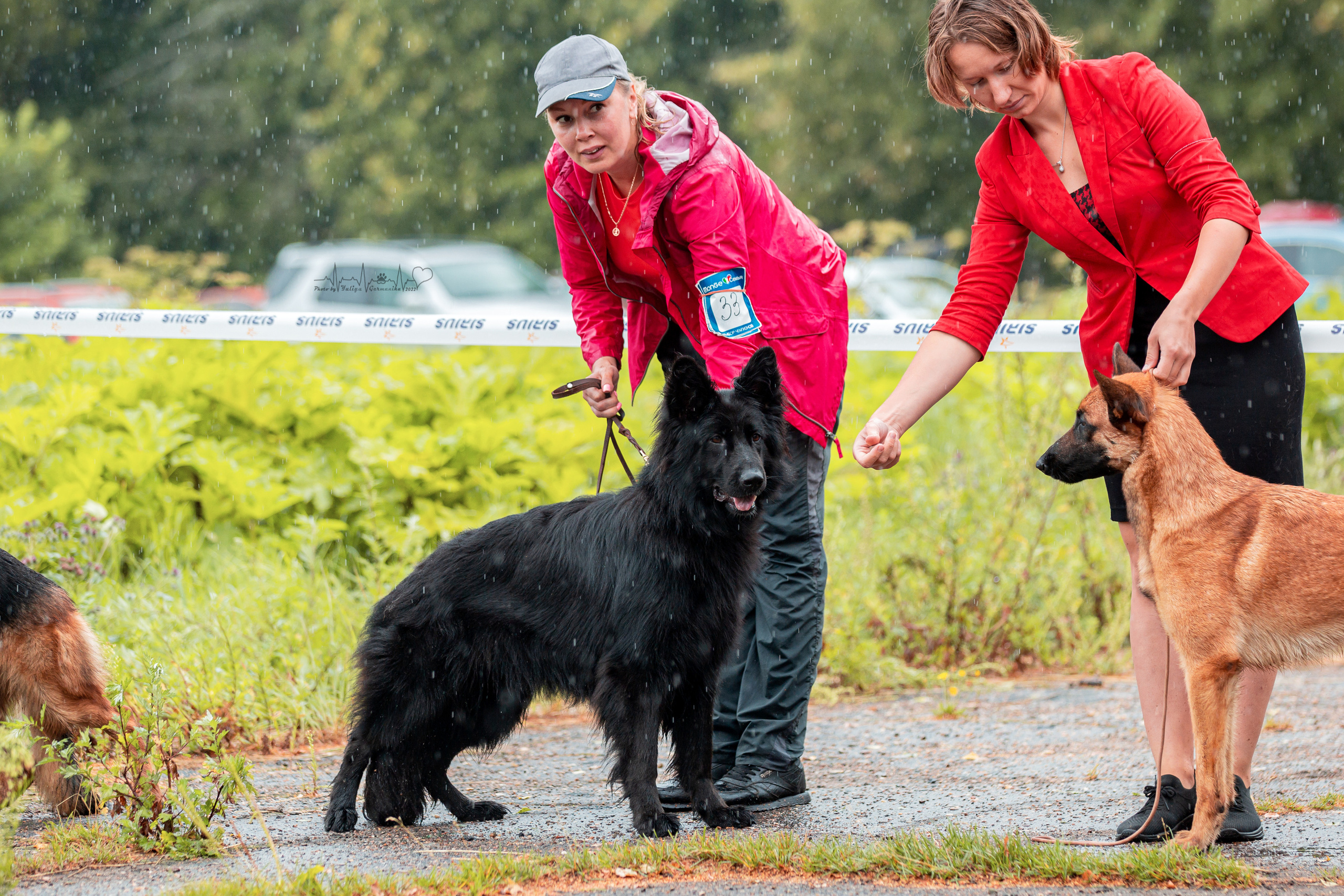 Ховрино 31.07,Чайна-Таун 6.08,Тверь 7.08. Фотограф-анималист Юлия Германика