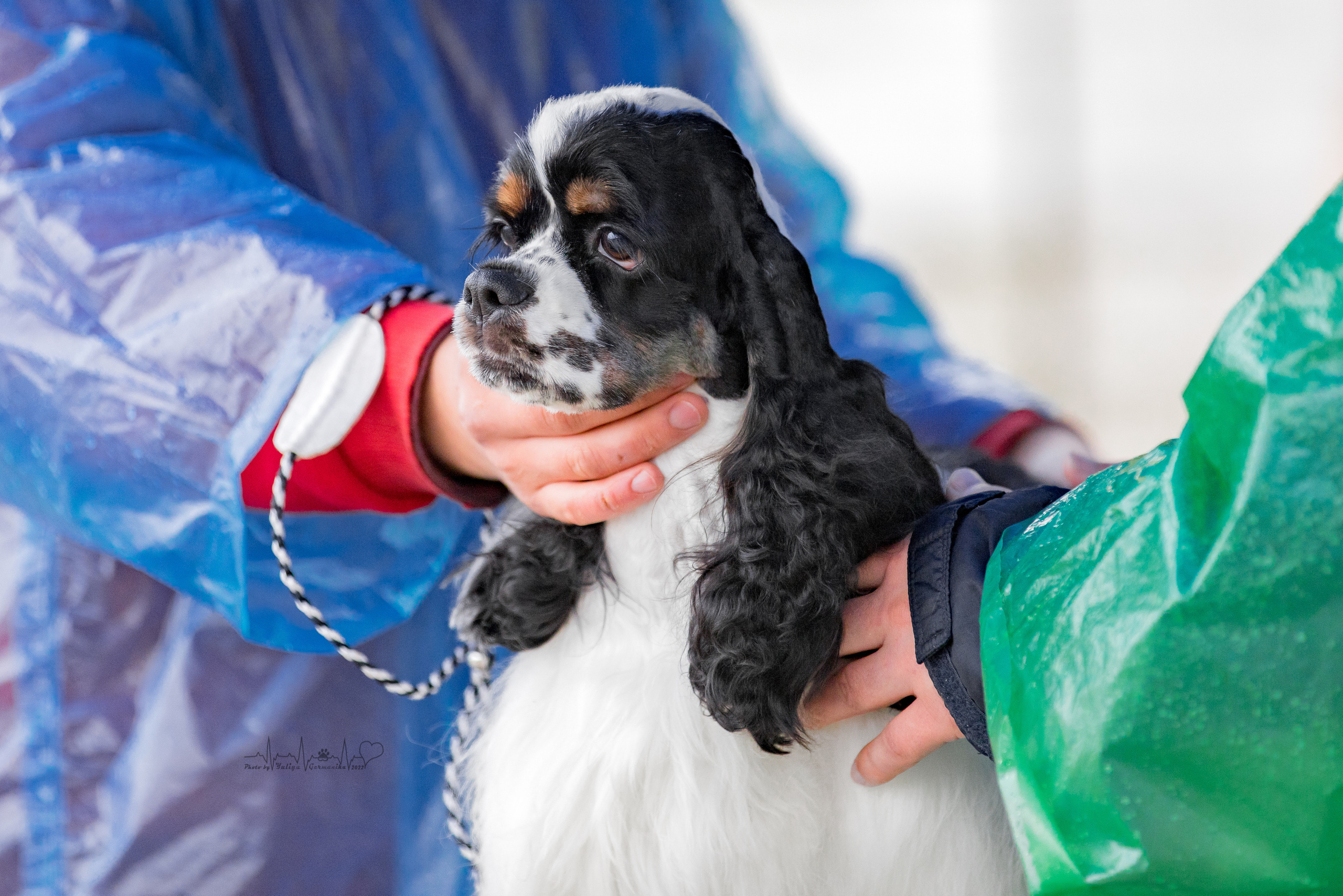 Александров 24.09.2022. Фотограф-анималист Юлия Германика